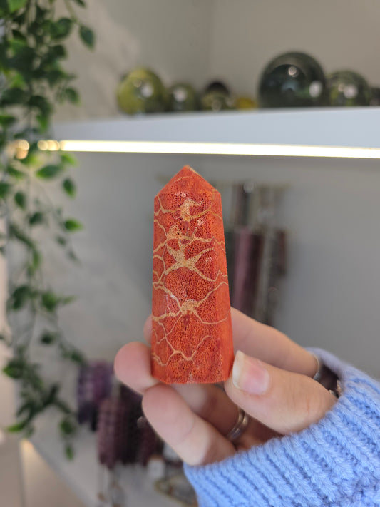 Red Coral Towers