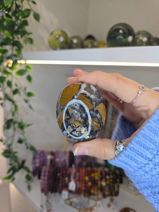 Indonesian Rare Black Brecciated Jasper Palm Stones