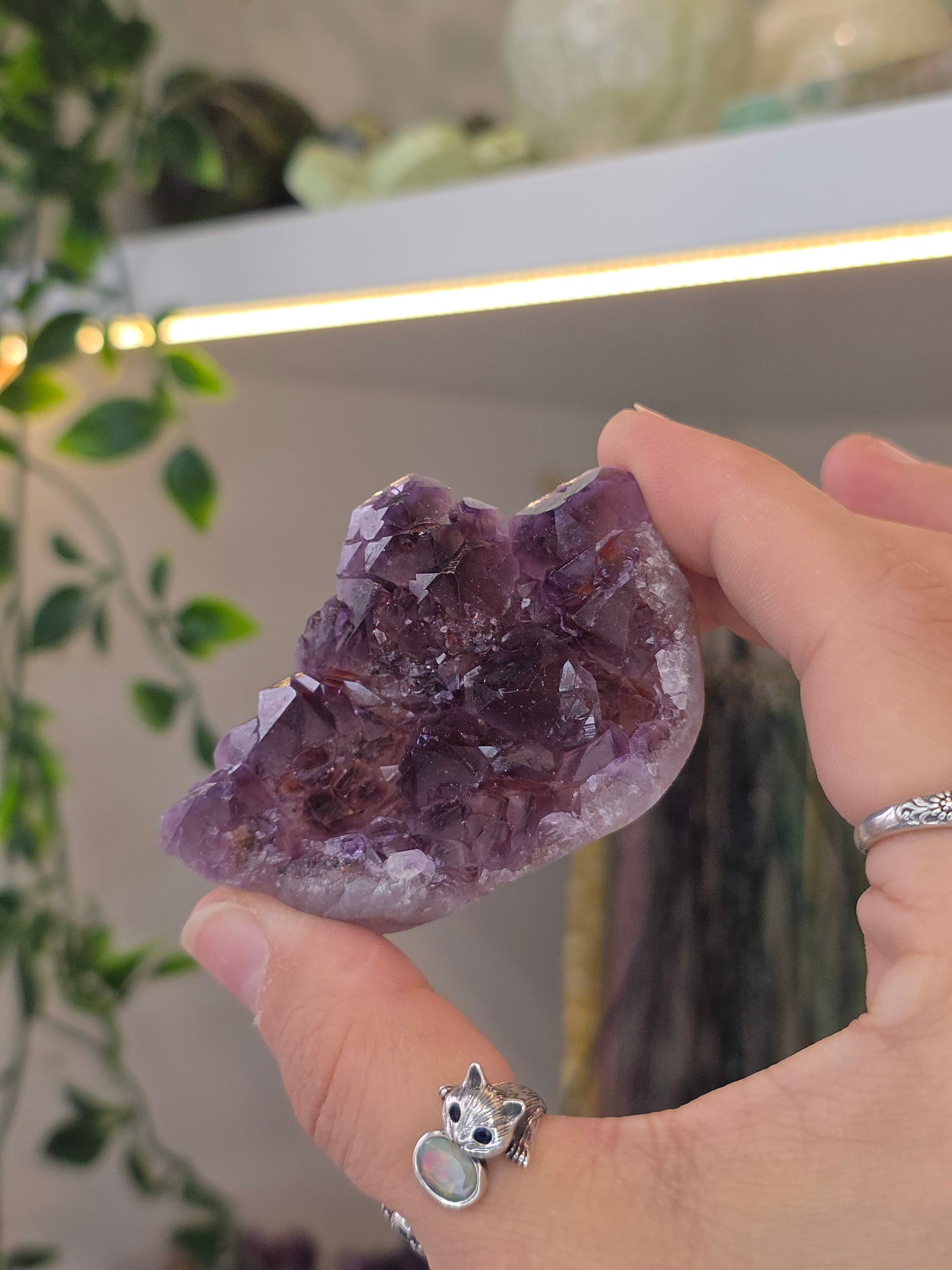 Various 'Alien Amethyst' - Hematite Included Amethyst from Hyderabad, India