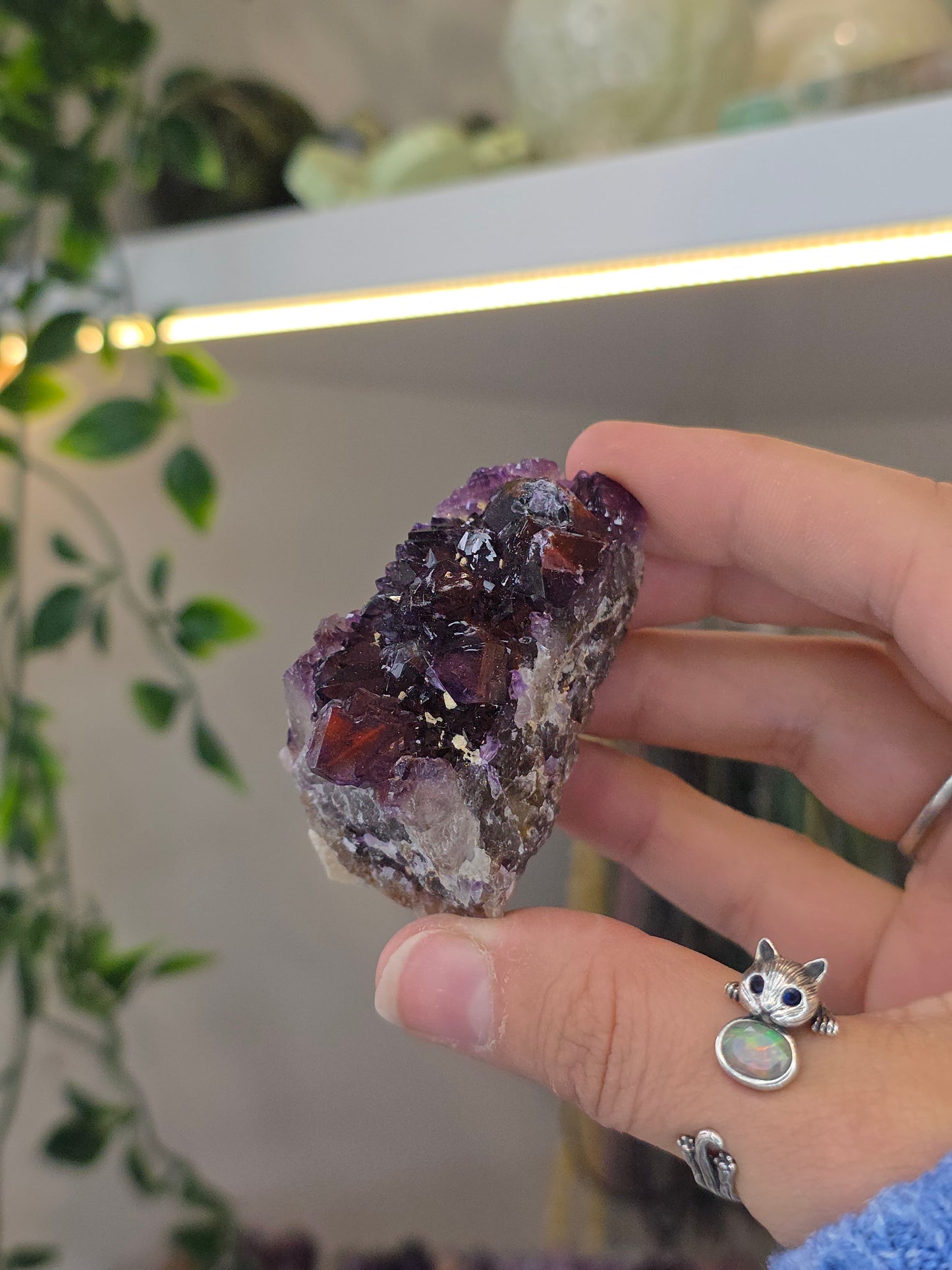 Various 'Alien Amethyst' - Hematite Included Amethyst from Hyderabad, India
