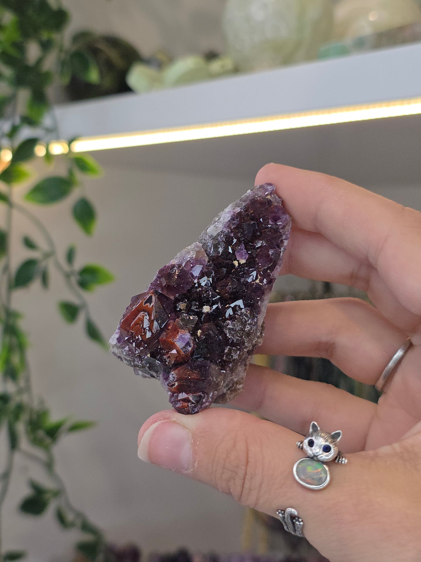 Various 'Alien Amethyst' - Hematite Included Amethyst from Hyderabad, India