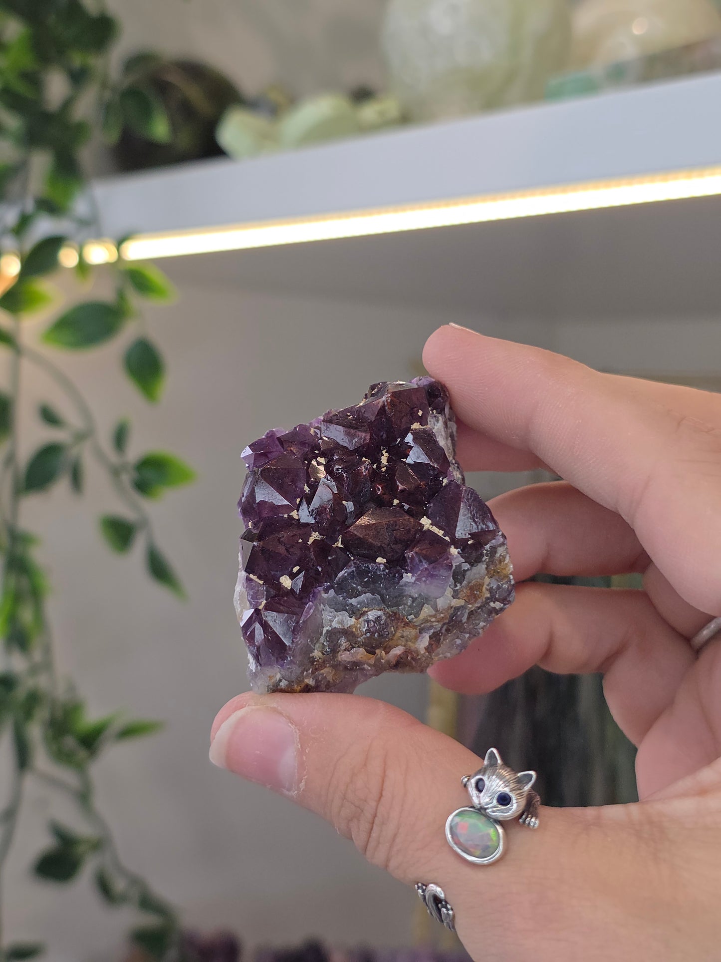 Various 'Alien Amethyst' - Hematite Included Amethyst from Hyderabad, India