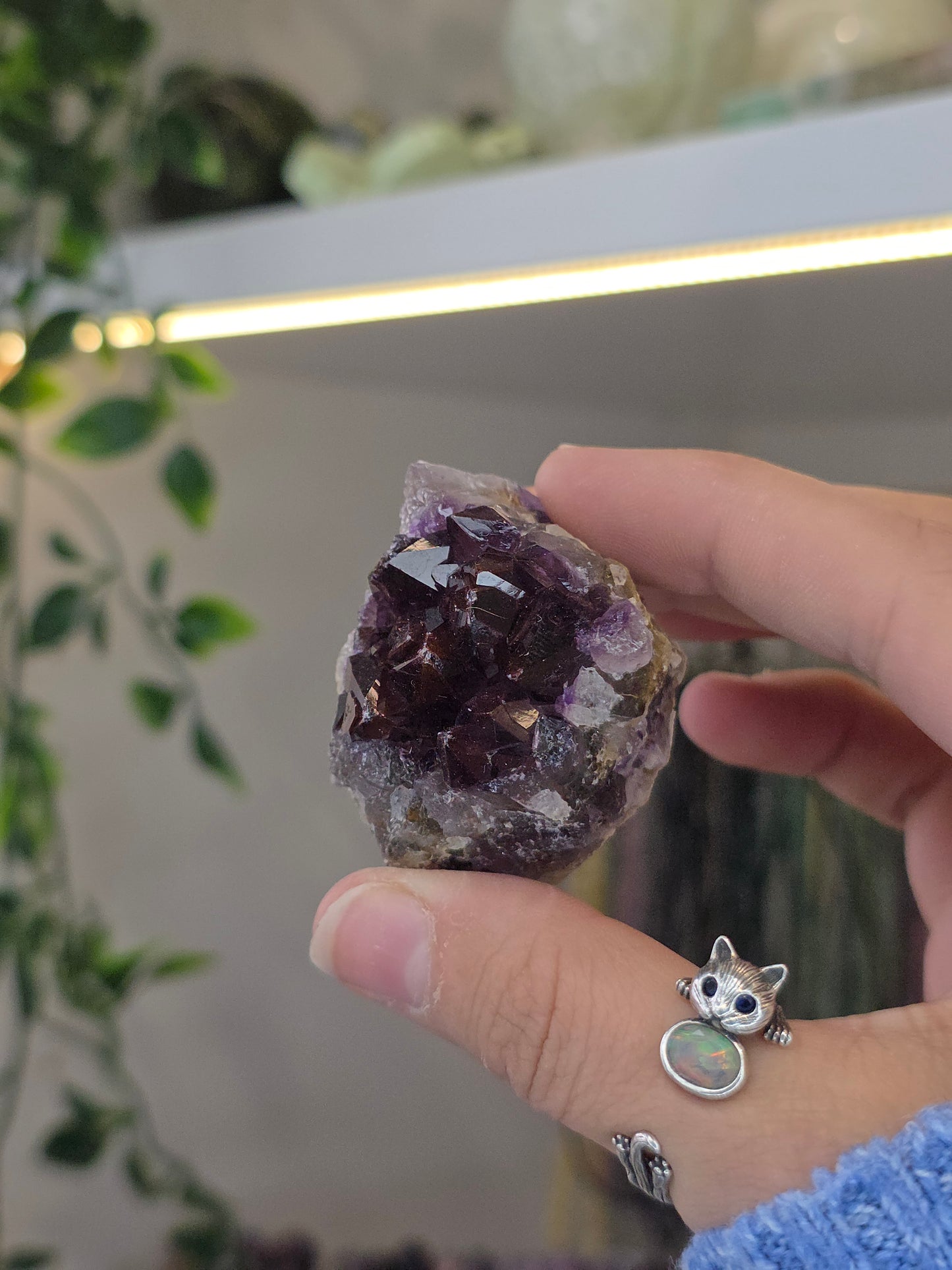 Various 'Alien Amethyst' - Hematite Included Amethyst from Hyderabad, India
