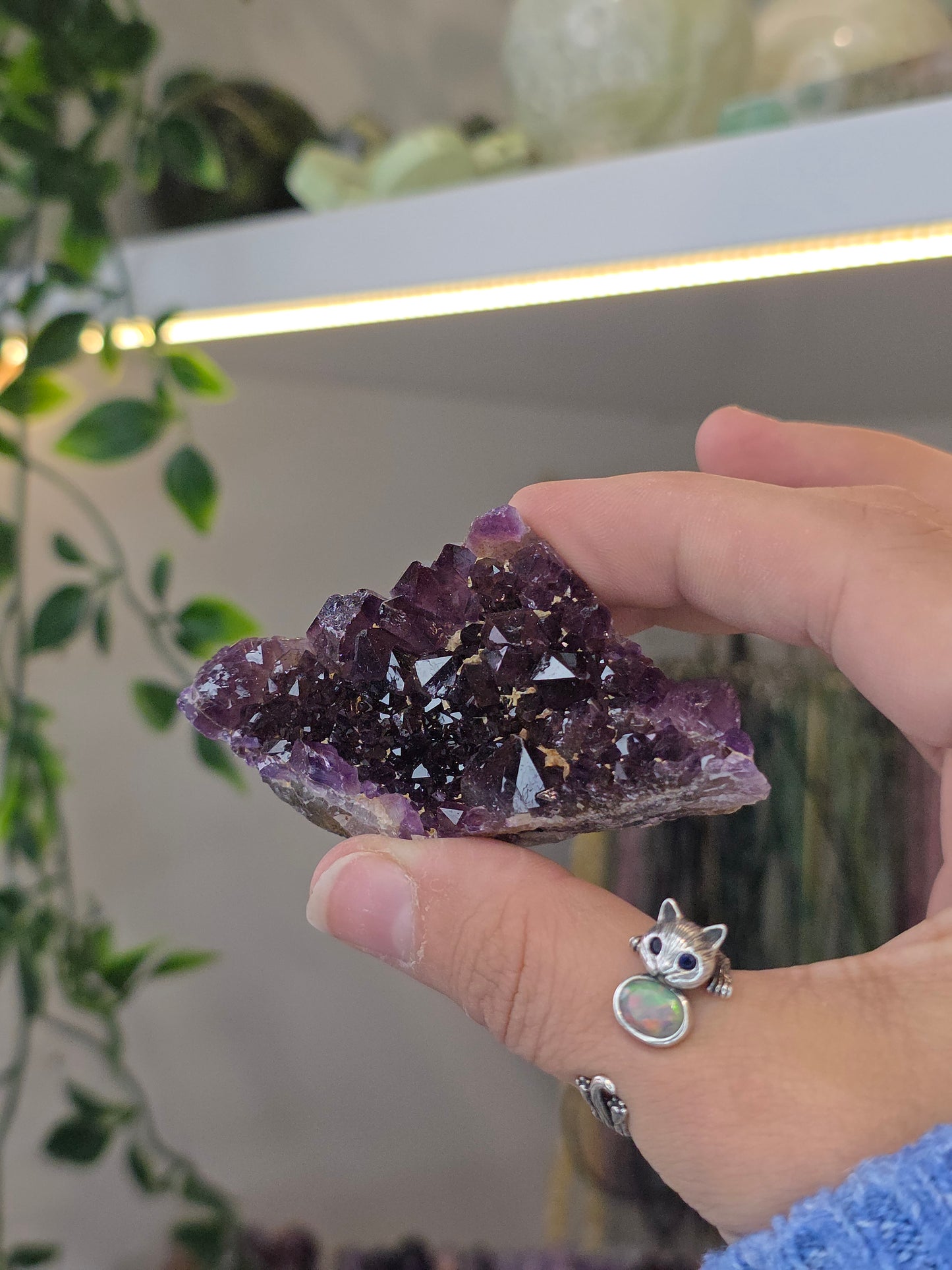 Various 'Alien Amethyst' - Hematite Included Amethyst from Hyderabad, India