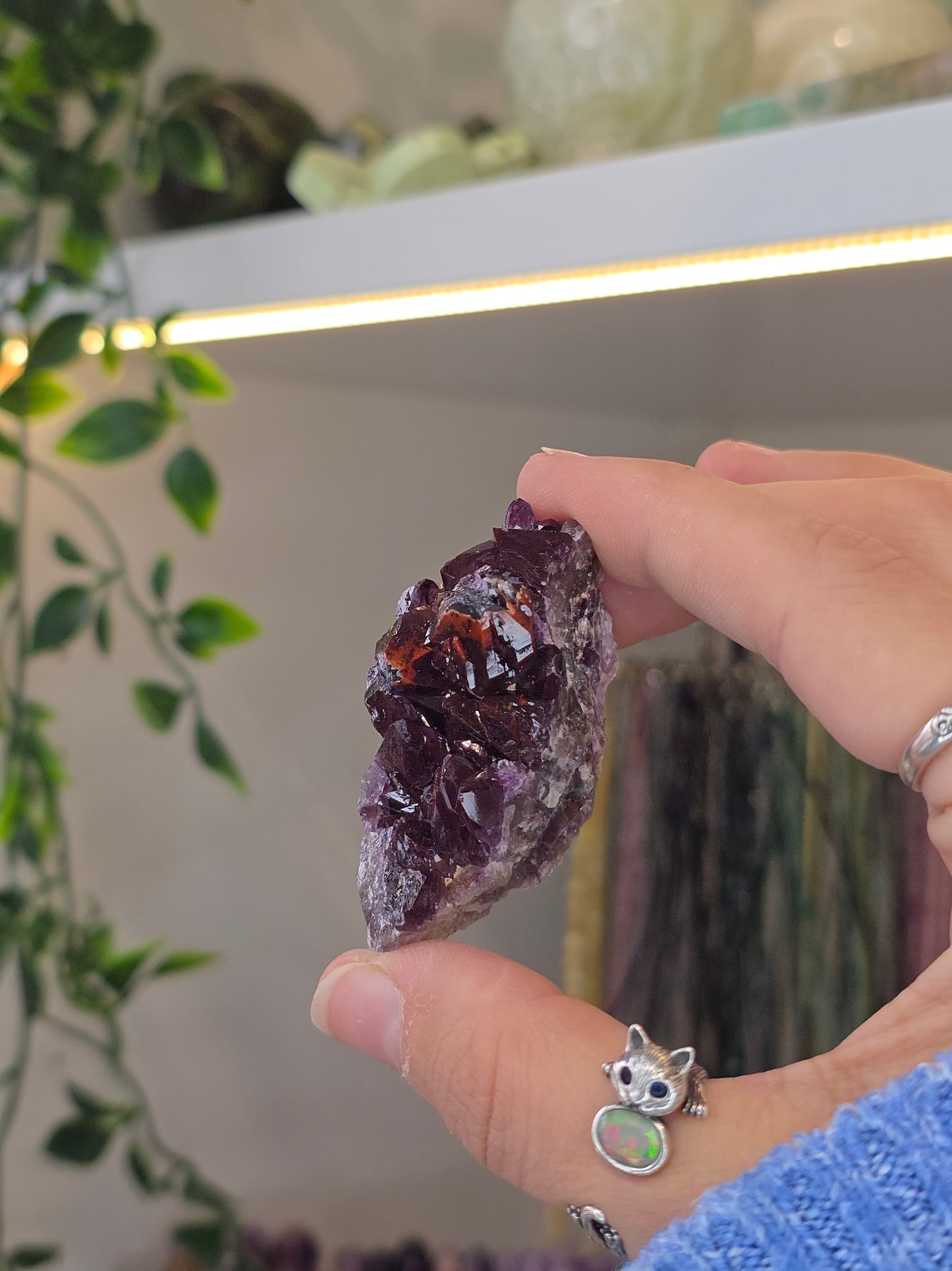 Various 'Alien Amethyst' - Hematite Included Amethyst from Hyderabad, India