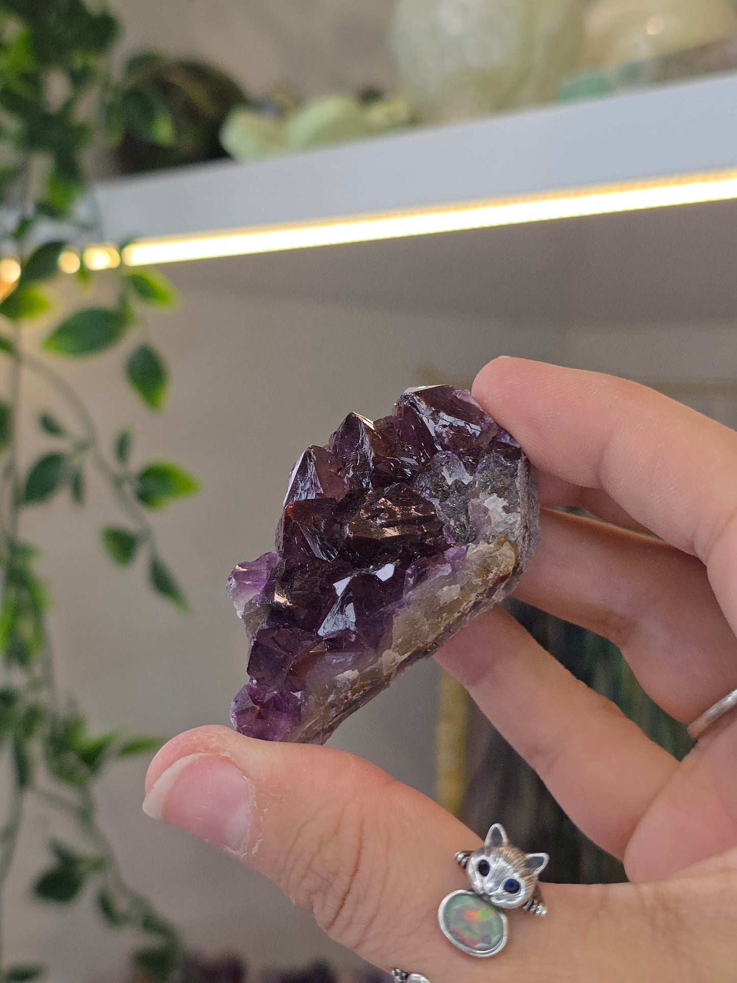 Various 'Alien Amethyst' - Hematite Included Amethyst from Hyderabad, India