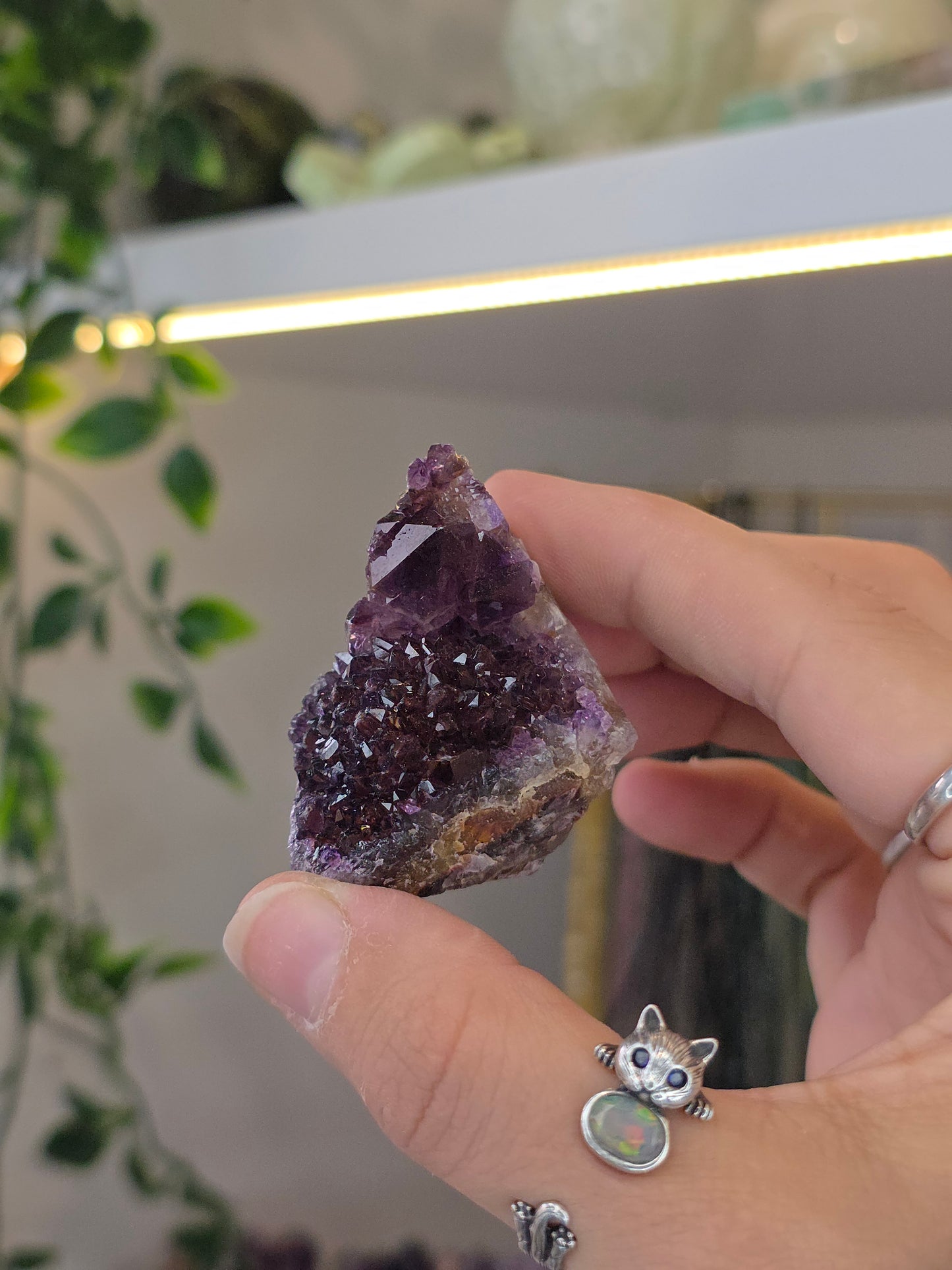 Various 'Alien Amethyst' - Hematite Included Amethyst from Hyderabad, India