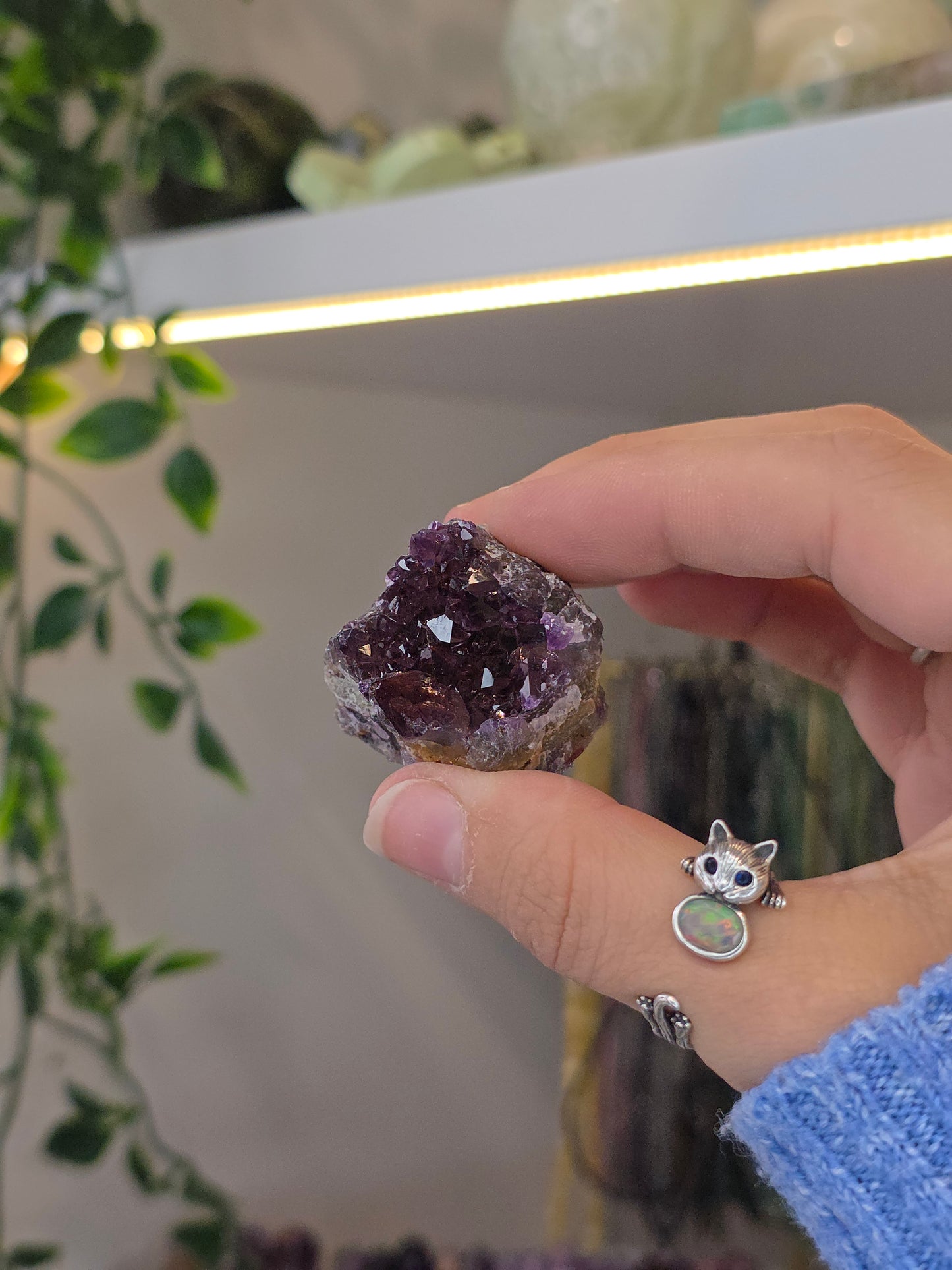 Various 'Alien Amethyst' - Hematite Included Amethyst from Hyderabad, India