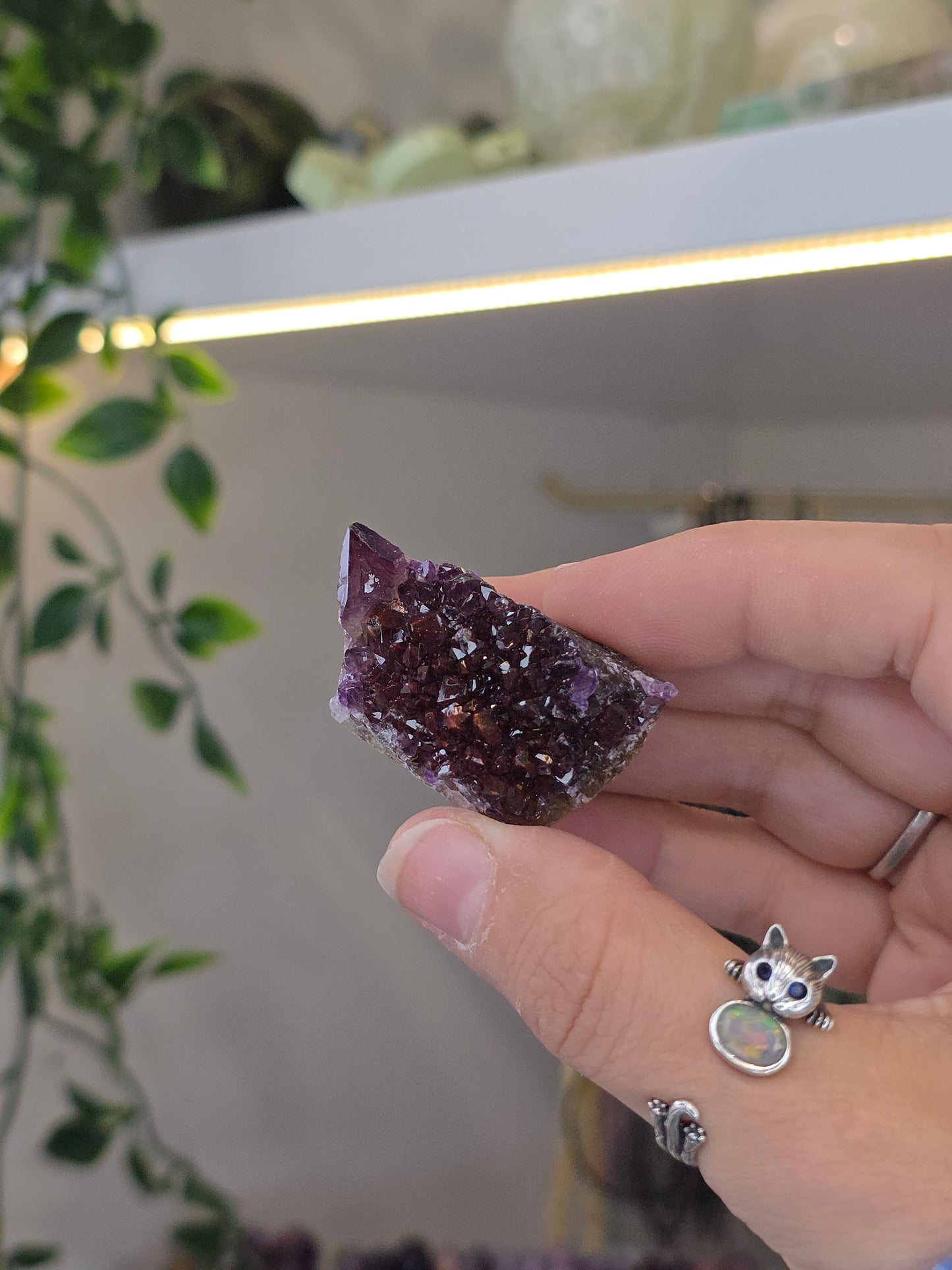 Various 'Alien Amethyst' - Hematite Included Amethyst from Hyderabad, India