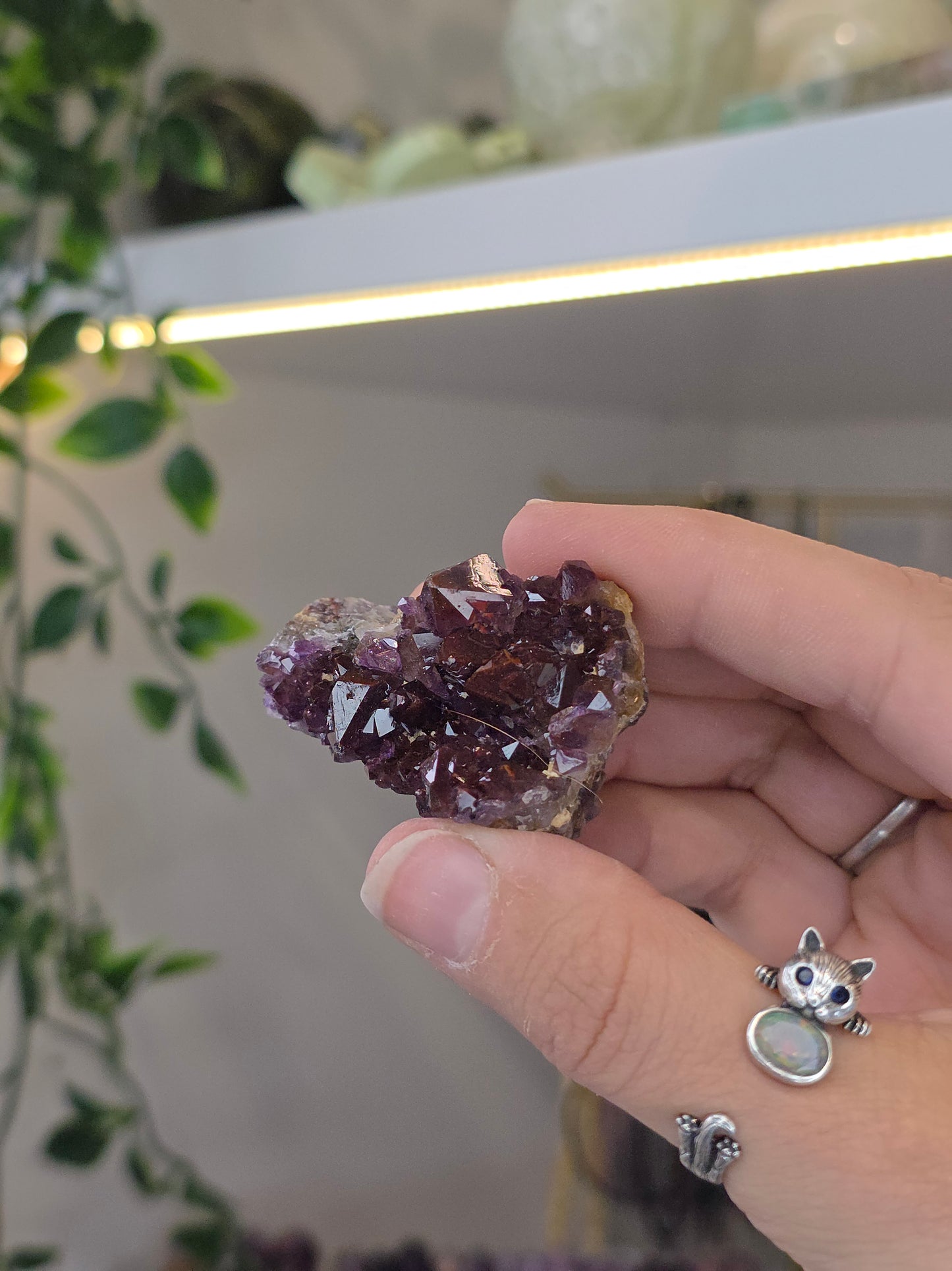 Various 'Alien Amethyst' - Hematite Included Amethyst from Hyderabad, India