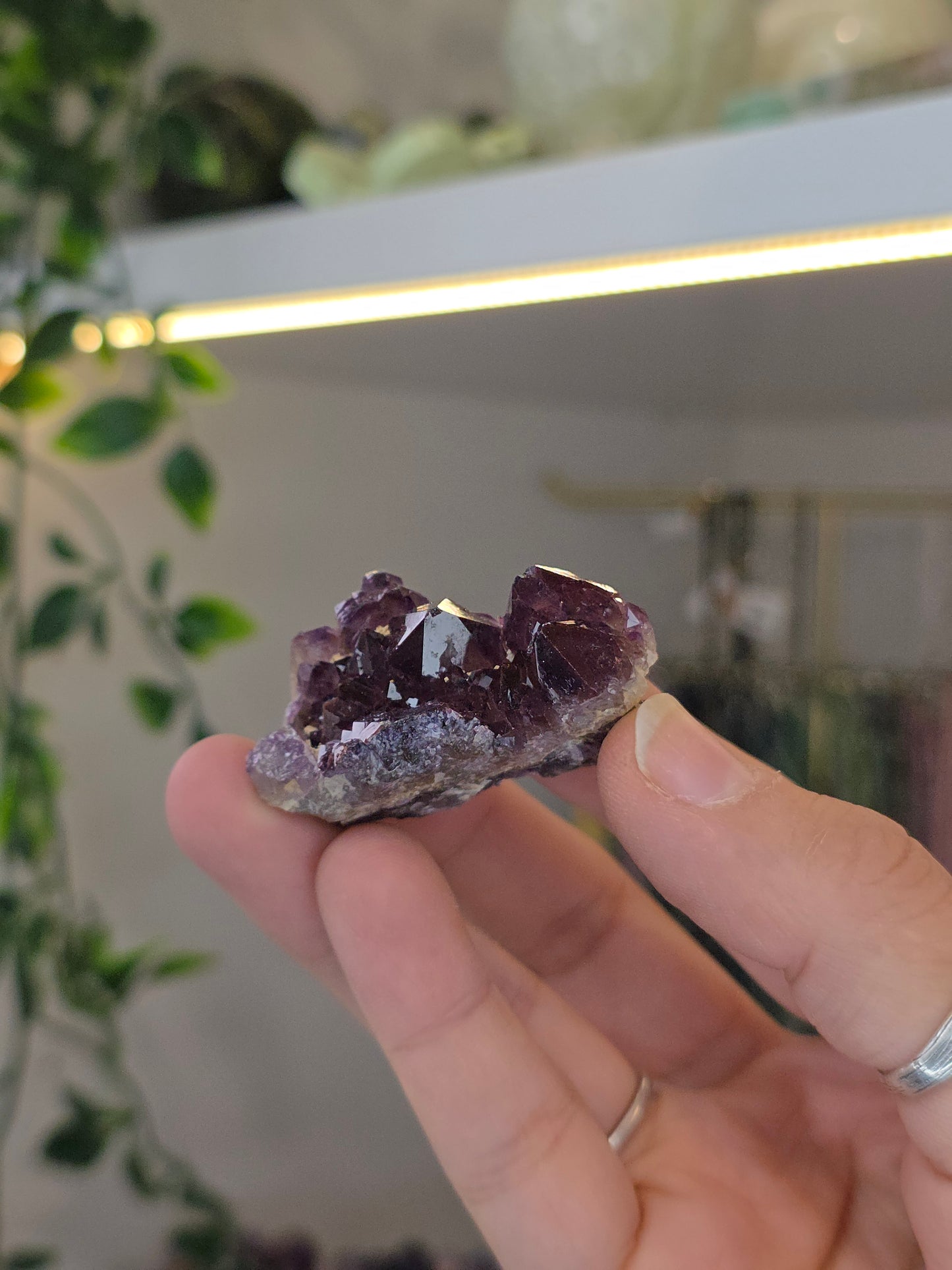 Various 'Alien Amethyst' - Hematite Included Amethyst from Hyderabad, India