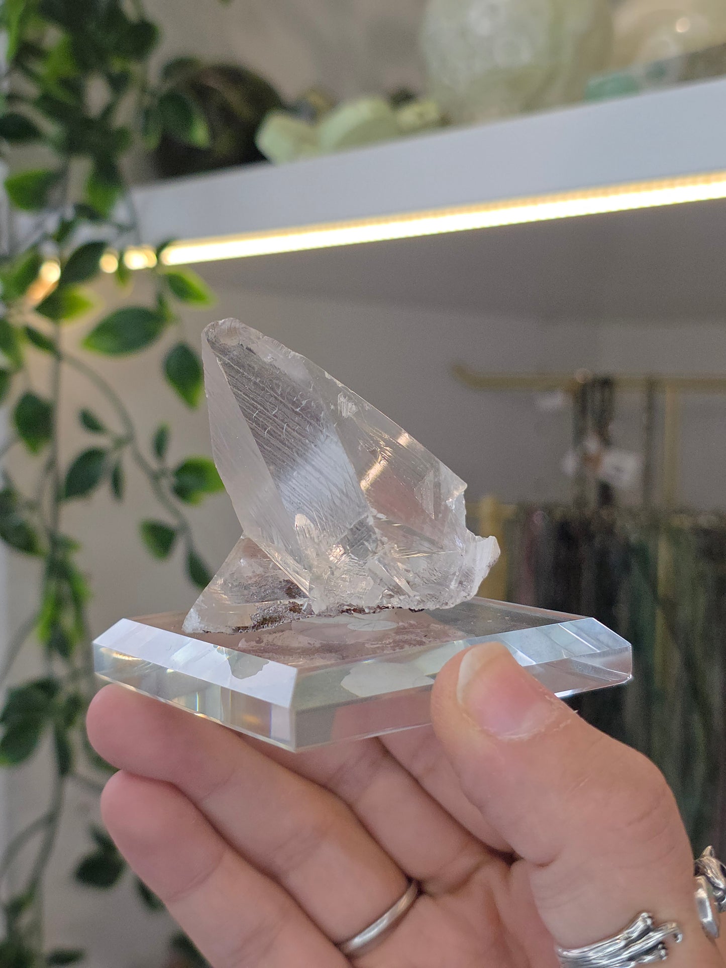 Naica Selenite Specimen from the world famous Naica Mine, Chihuahua, Mexico A