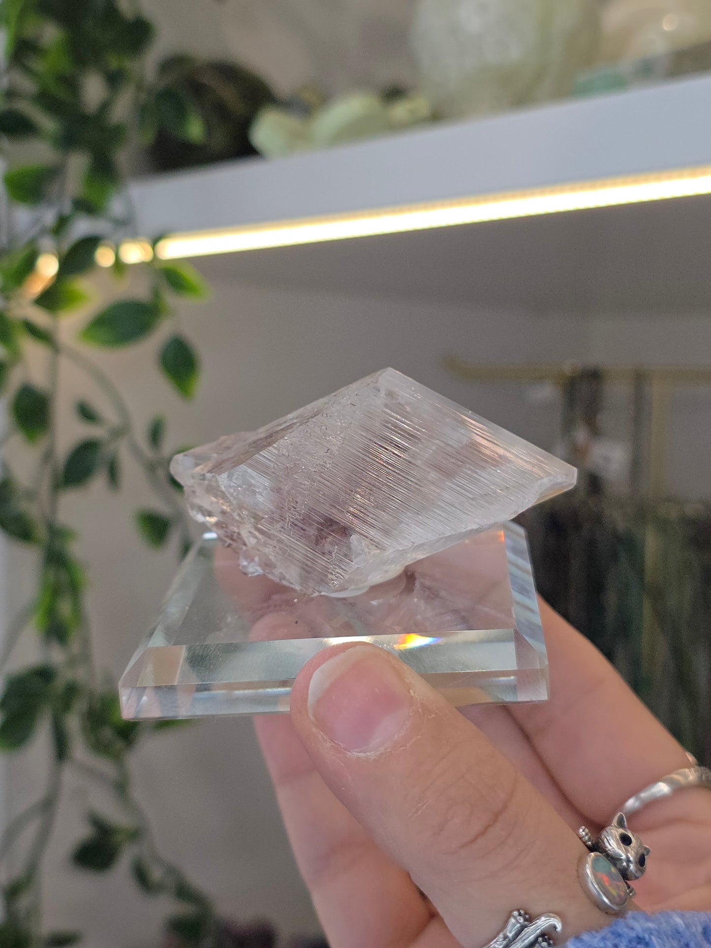 Naica Selenite Specimen from the world famous Naica Mine, Chihuahua, Mexico B