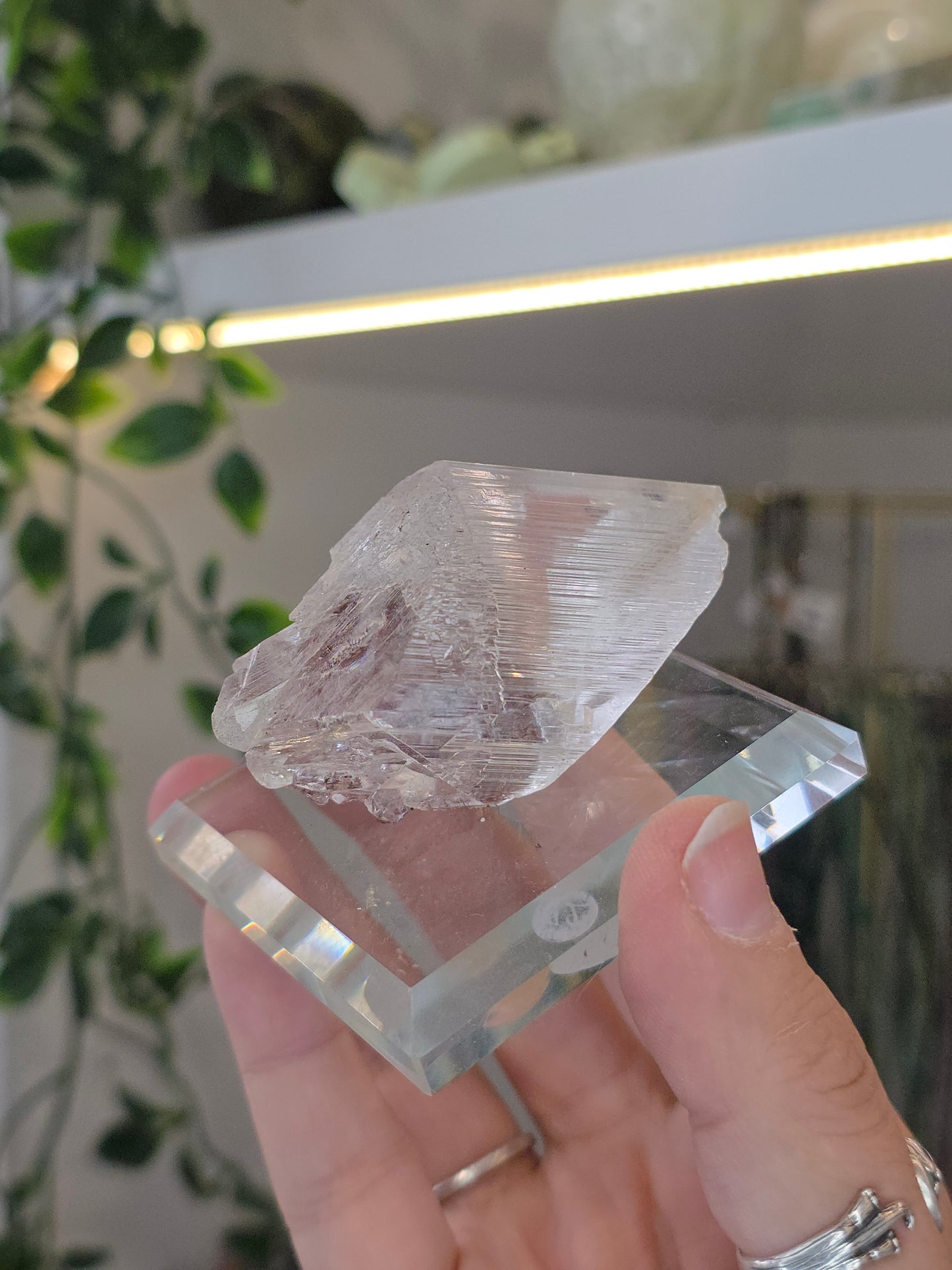 Naica Selenite Specimen from the world famous Naica Mine, Chihuahua, Mexico B