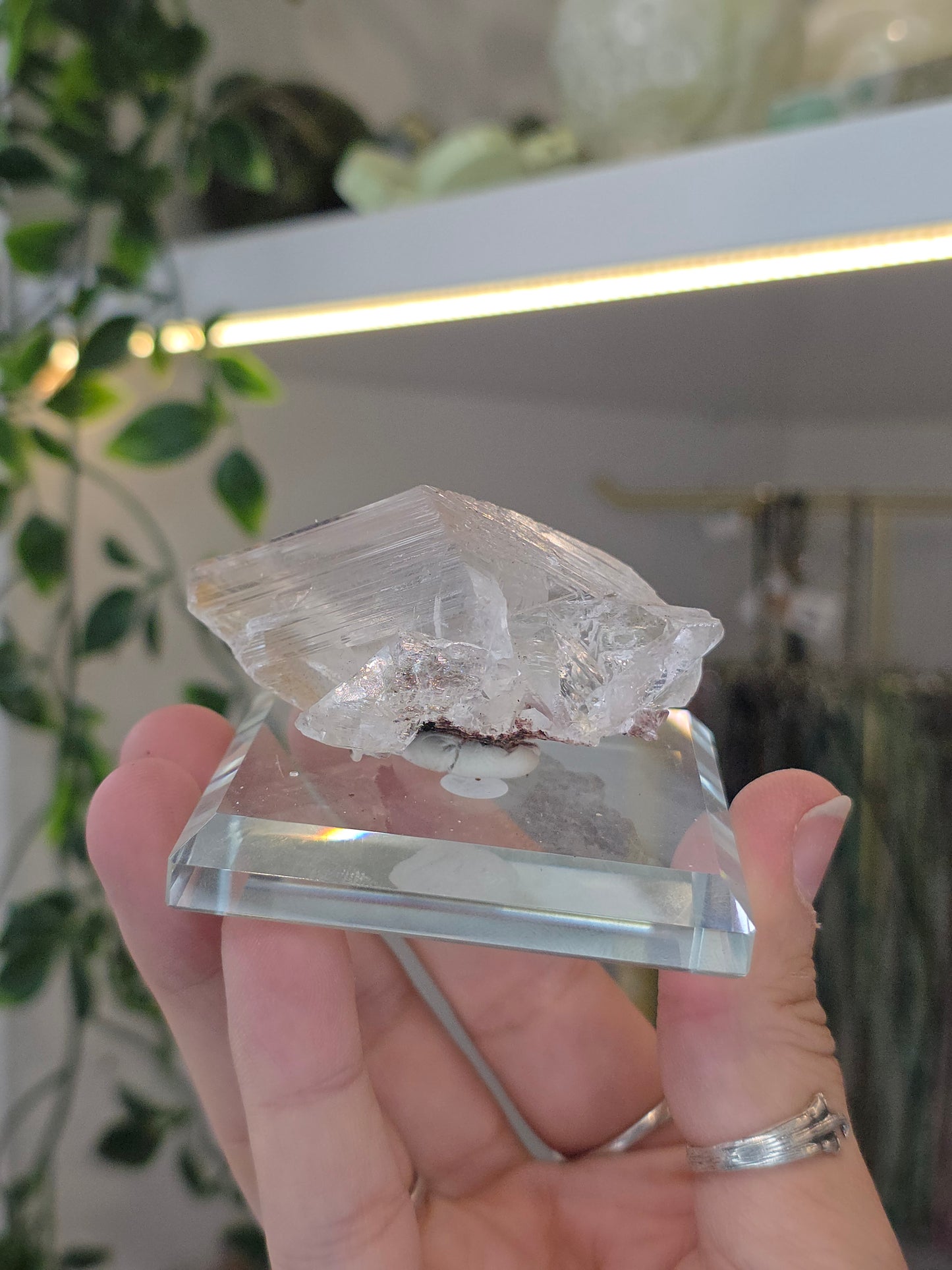 Naica Selenite Specimen from the world famous Naica Mine, Chihuahua, Mexico B