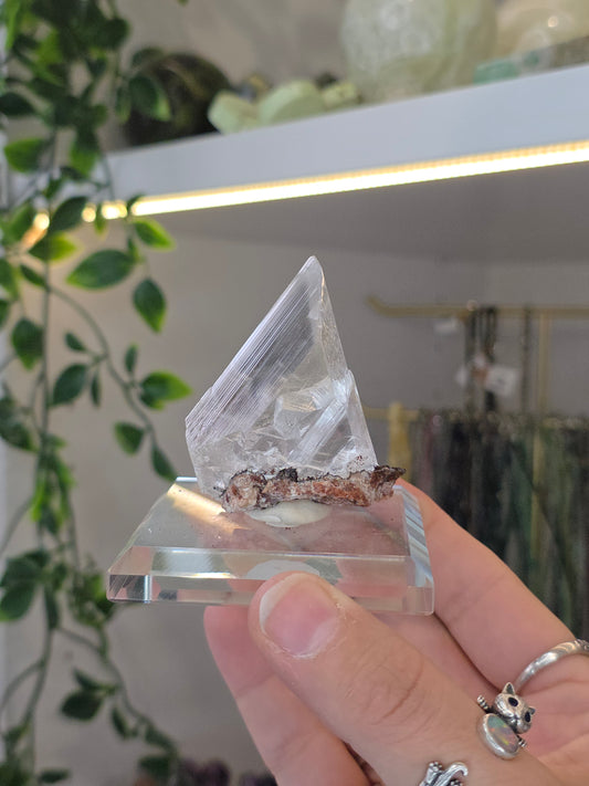 Naica Selenite Specimen from the world famous Naica Mine, Chihuahua, Mexico C