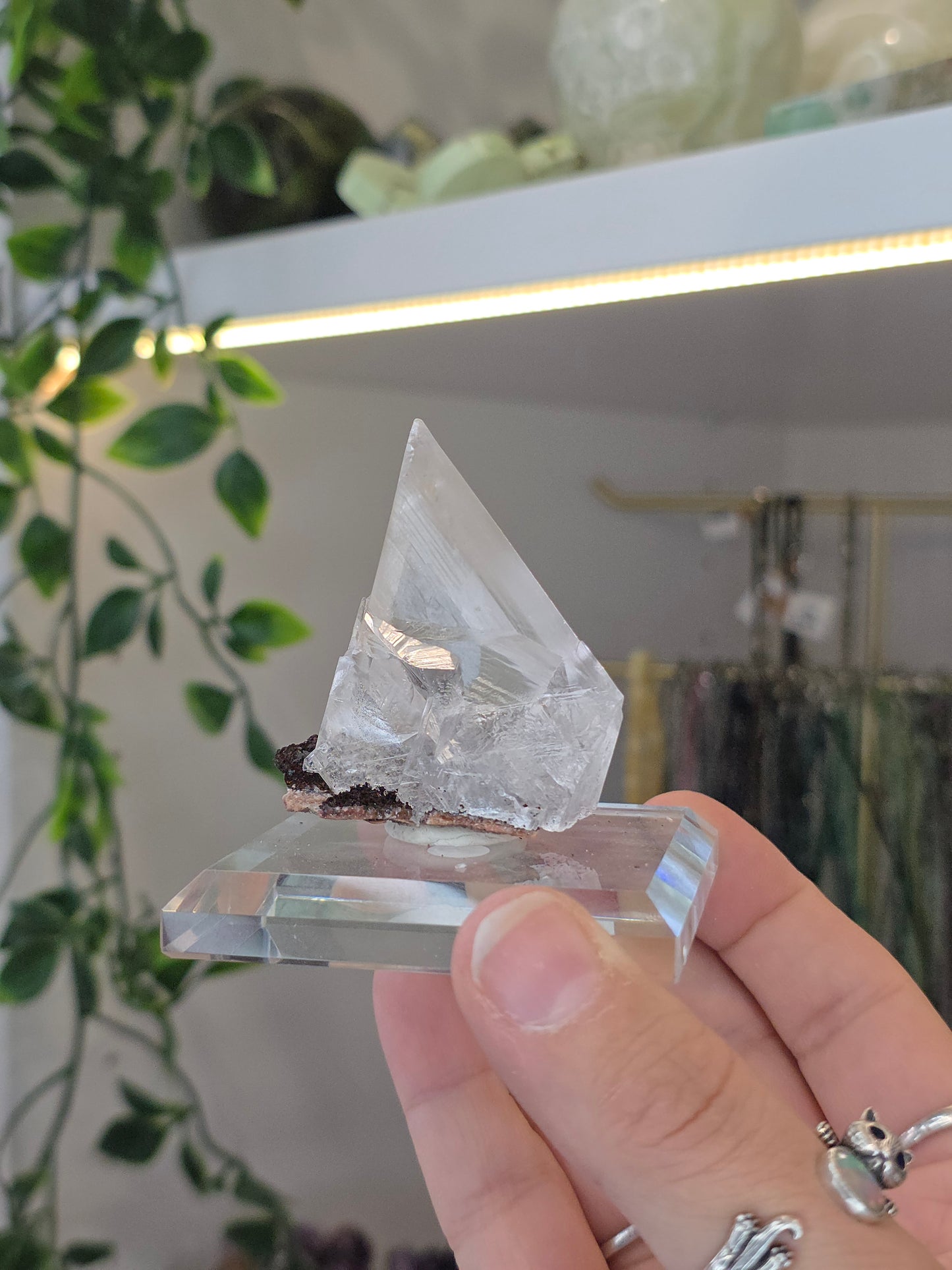 Naica Selenite Specimen from the world famous Naica Mine, Chihuahua, Mexico C