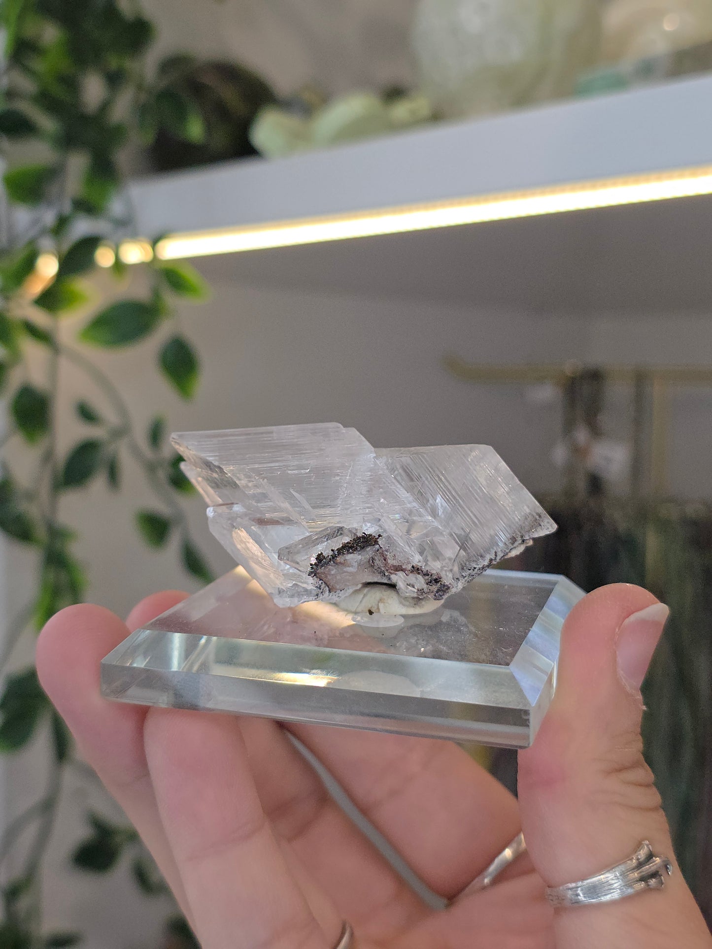 Naica Selenite Specimen from the world famous Naica Mine, Chihuahua, Mexico D
