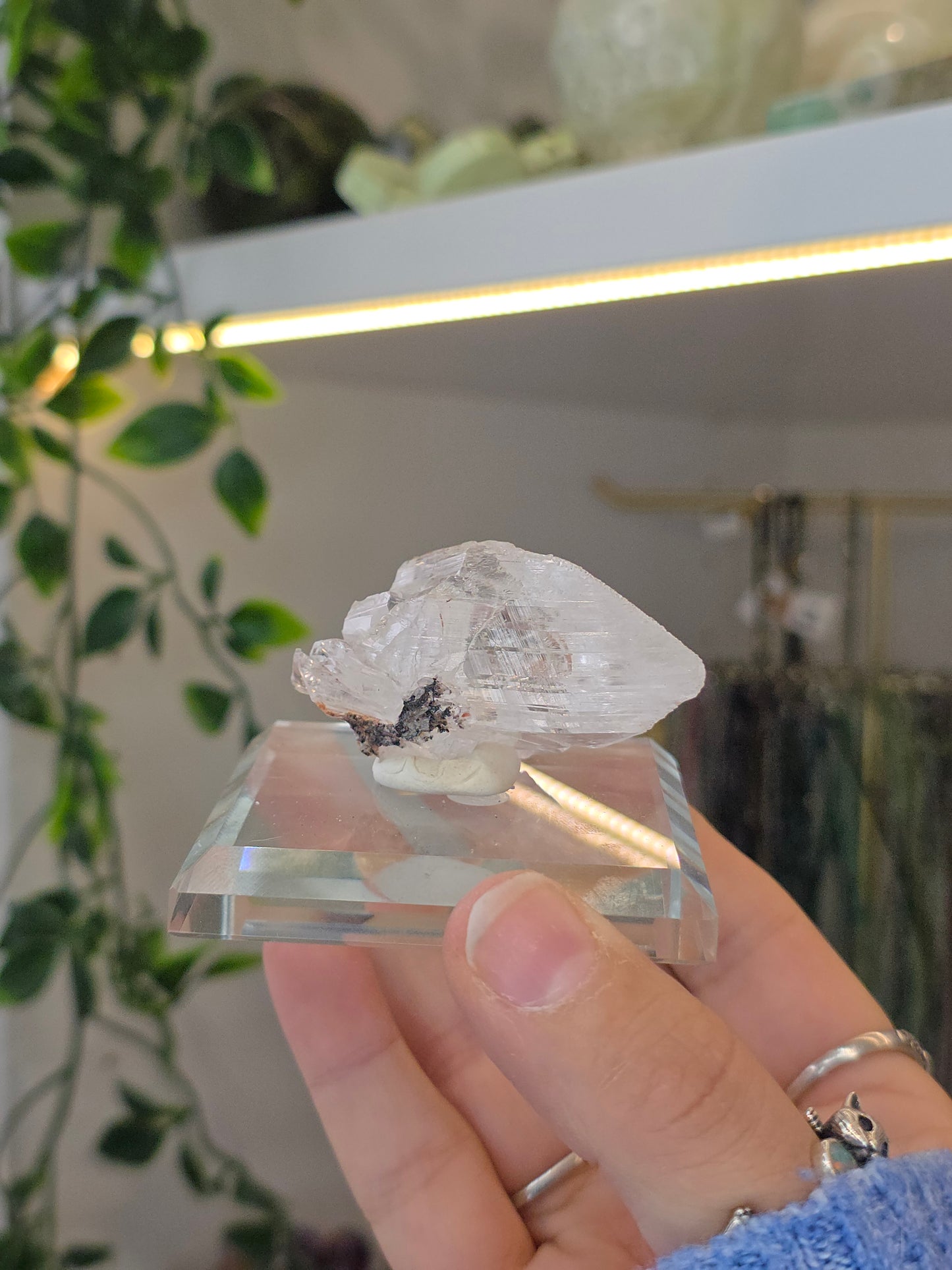 Naica Selenite Specimen from the world famous Naica Mine, Chihuahua, Mexico E