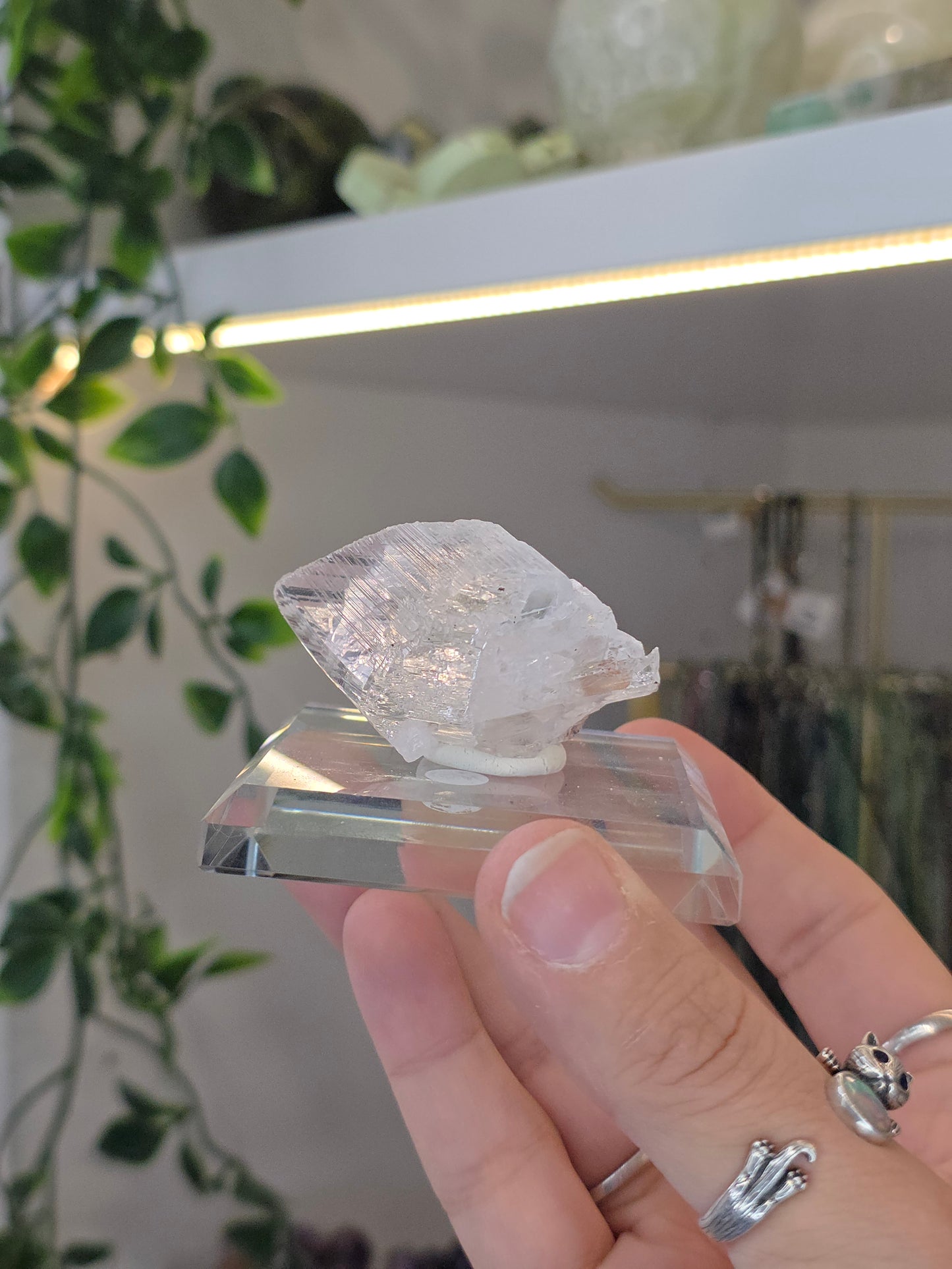 Naica Selenite Specimen from the world famous Naica Mine, Chihuahua, Mexico E