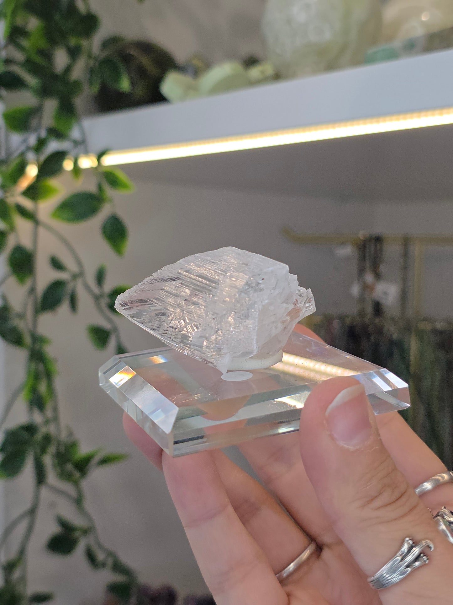 Naica Selenite Specimen from the world famous Naica Mine, Chihuahua, Mexico E