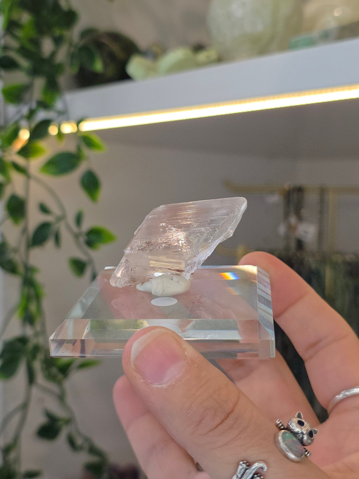 Naica Selenite Specimen from the world famous Naica Mine, Chihuahua, Mexico F