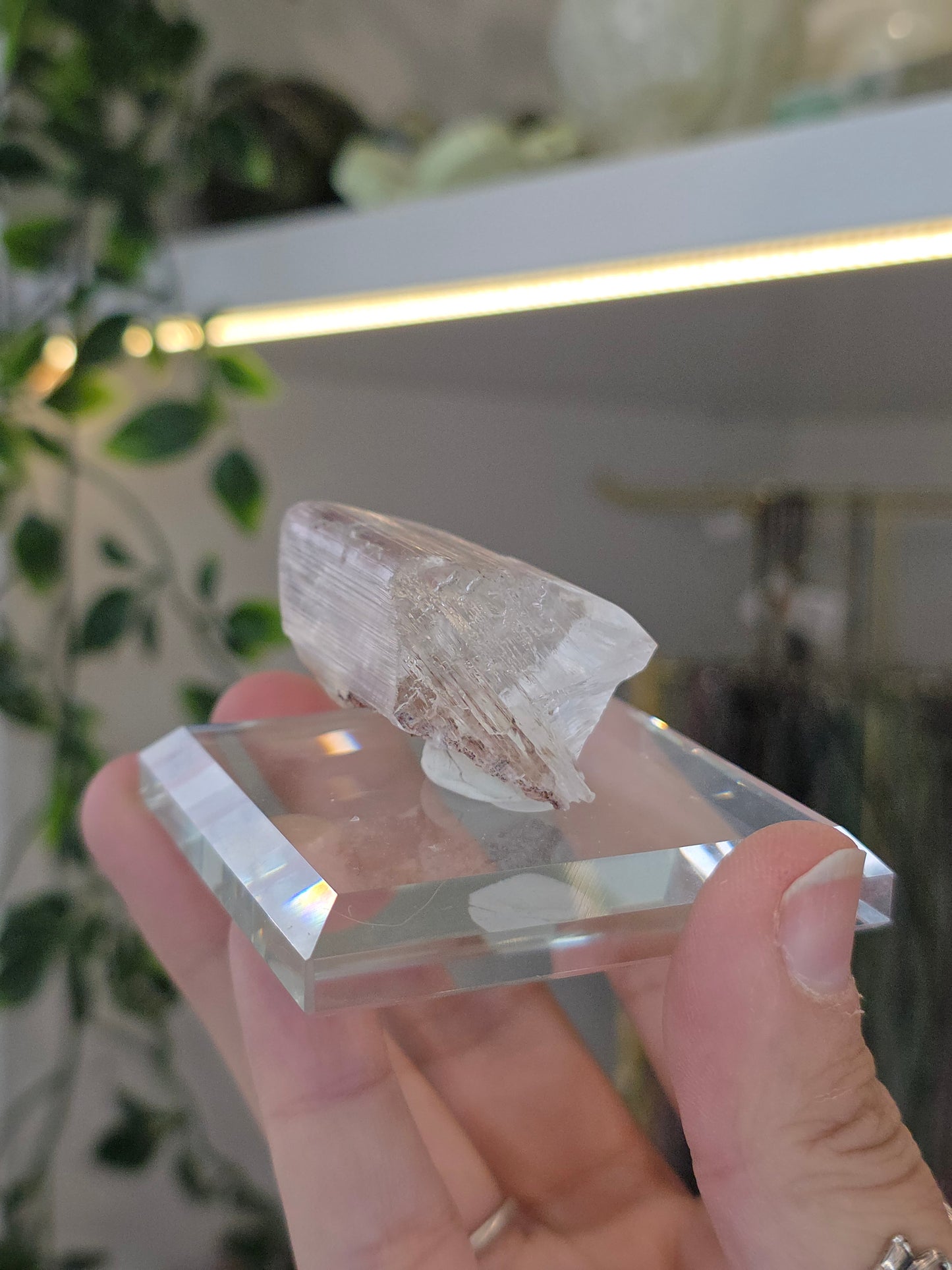 Naica Selenite Specimen from the world famous Naica Mine, Chihuahua, Mexico F