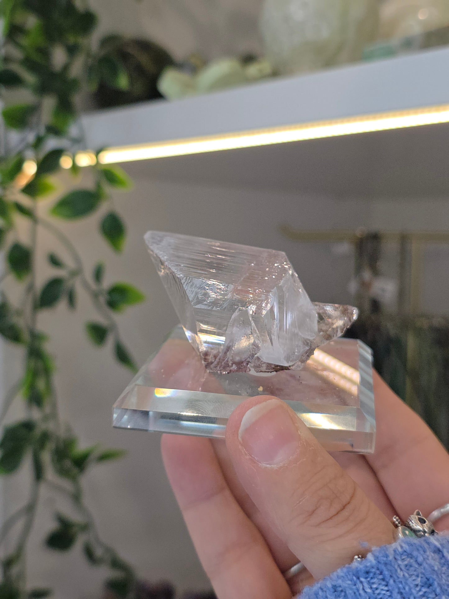 Naica Selenite Specimen from the world famous Naica Mine, Chihuahua, Mexico G