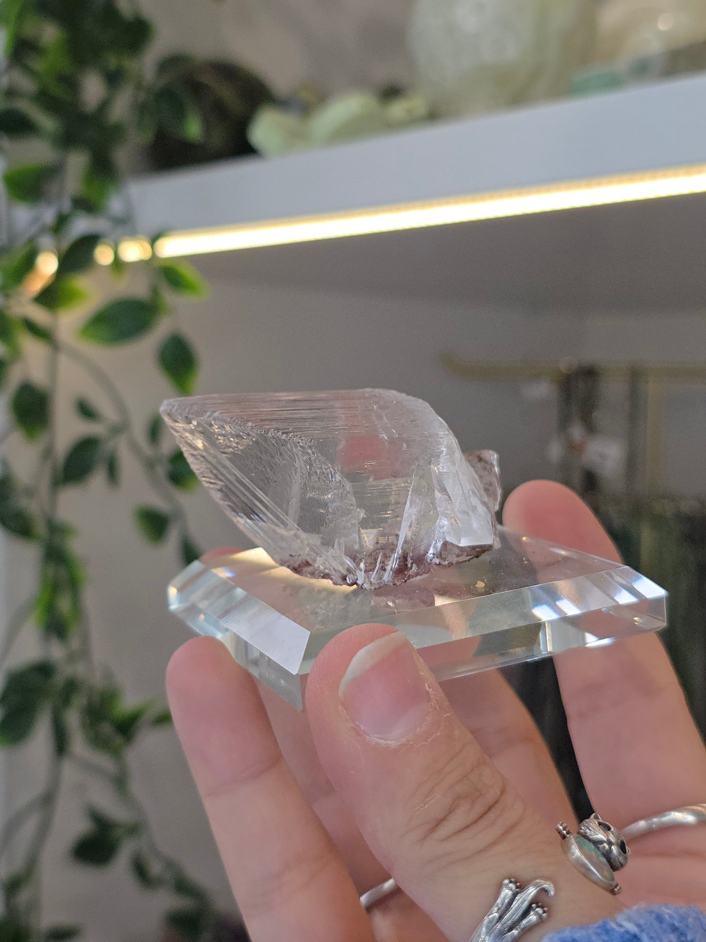 Naica Selenite Specimen from the world famous Naica Mine, Chihuahua, Mexico G