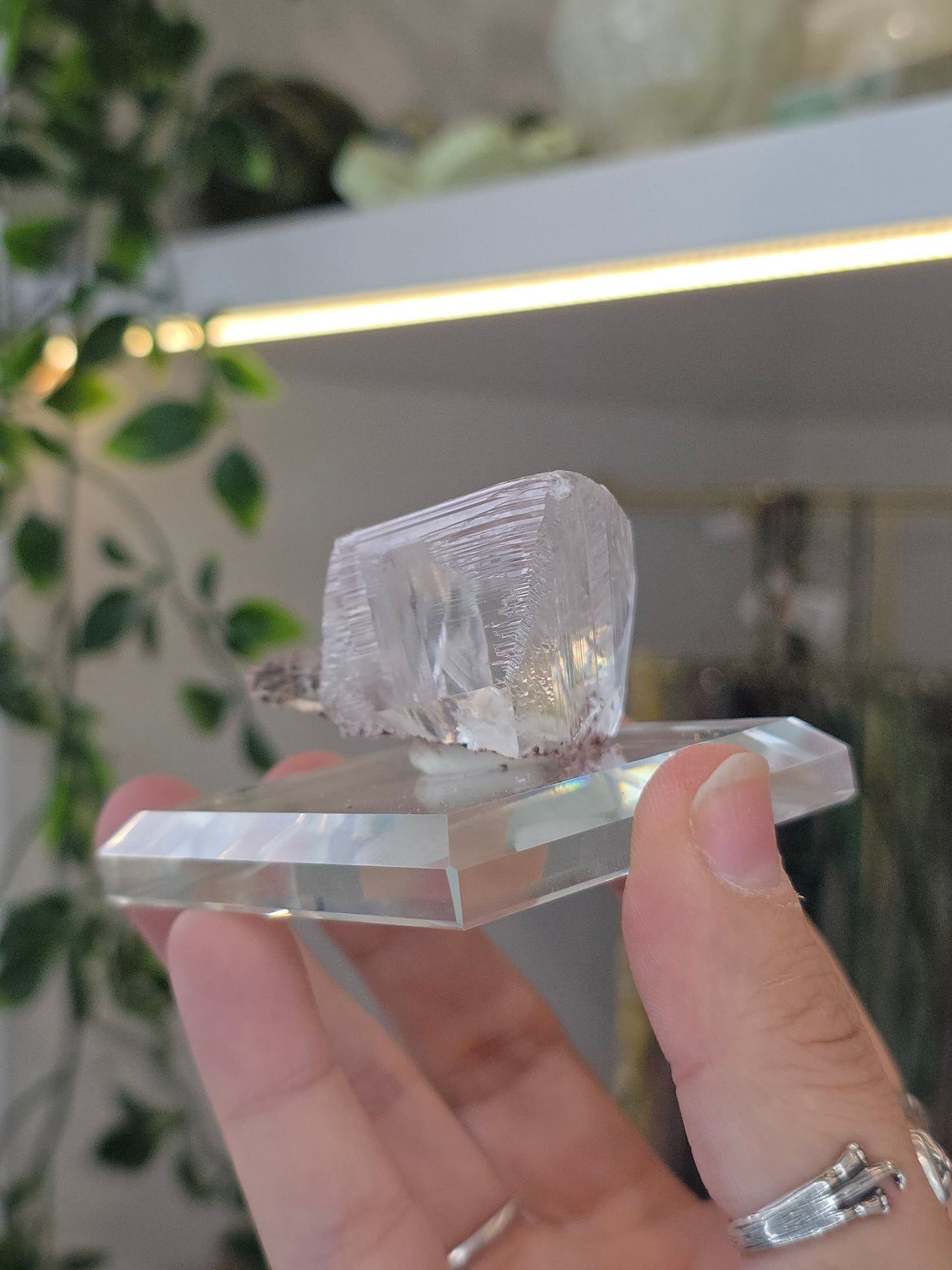 Naica Selenite Specimen from the world famous Naica Mine, Chihuahua, Mexico G