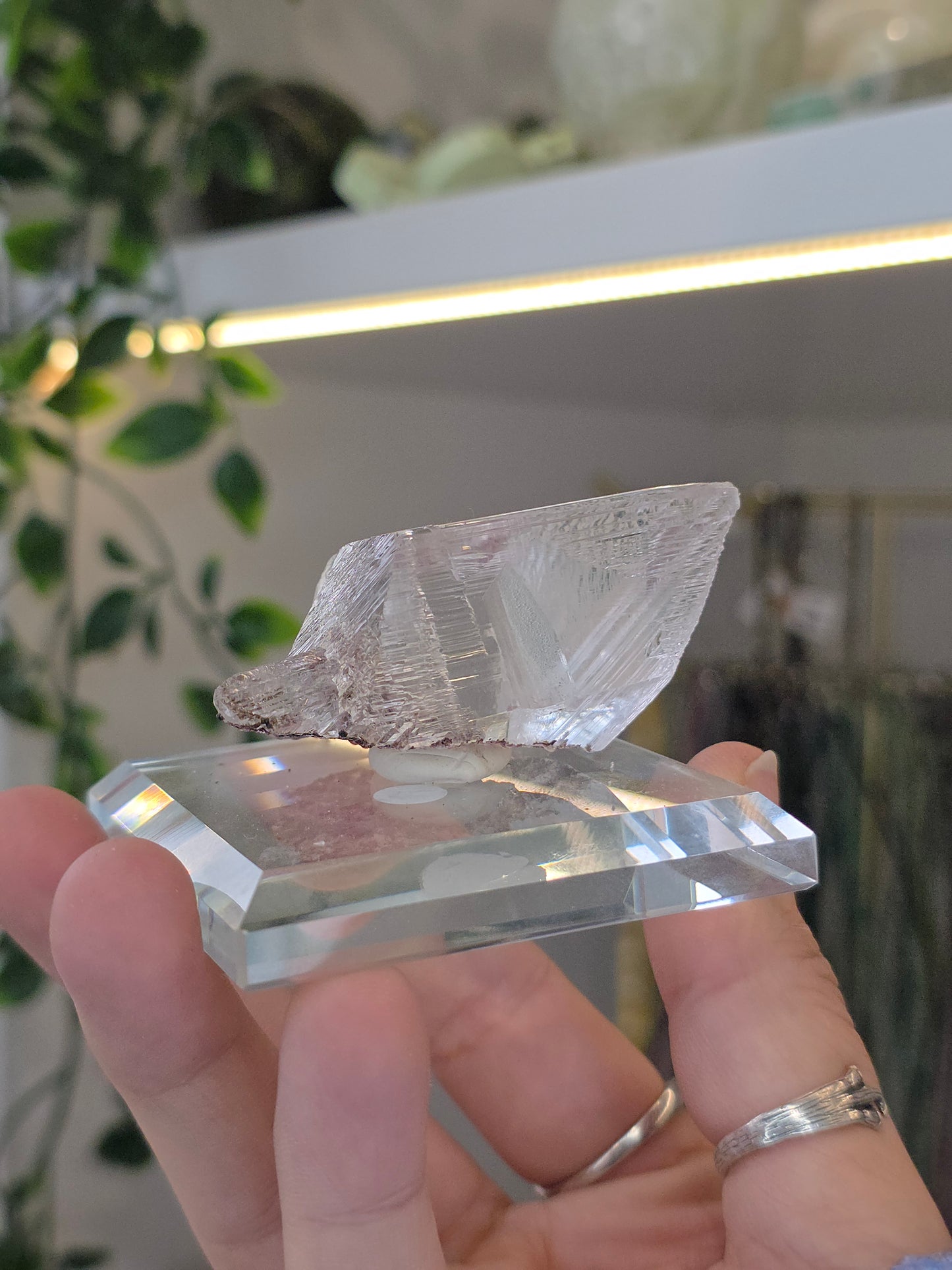 Naica Selenite Specimen from the world famous Naica Mine, Chihuahua, Mexico G