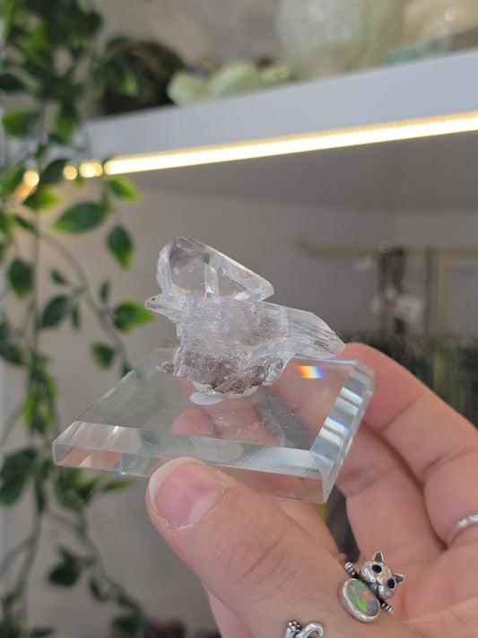Naica Selenite Specimen from the world famous Naica Mine, Chihuahua, Mexico H