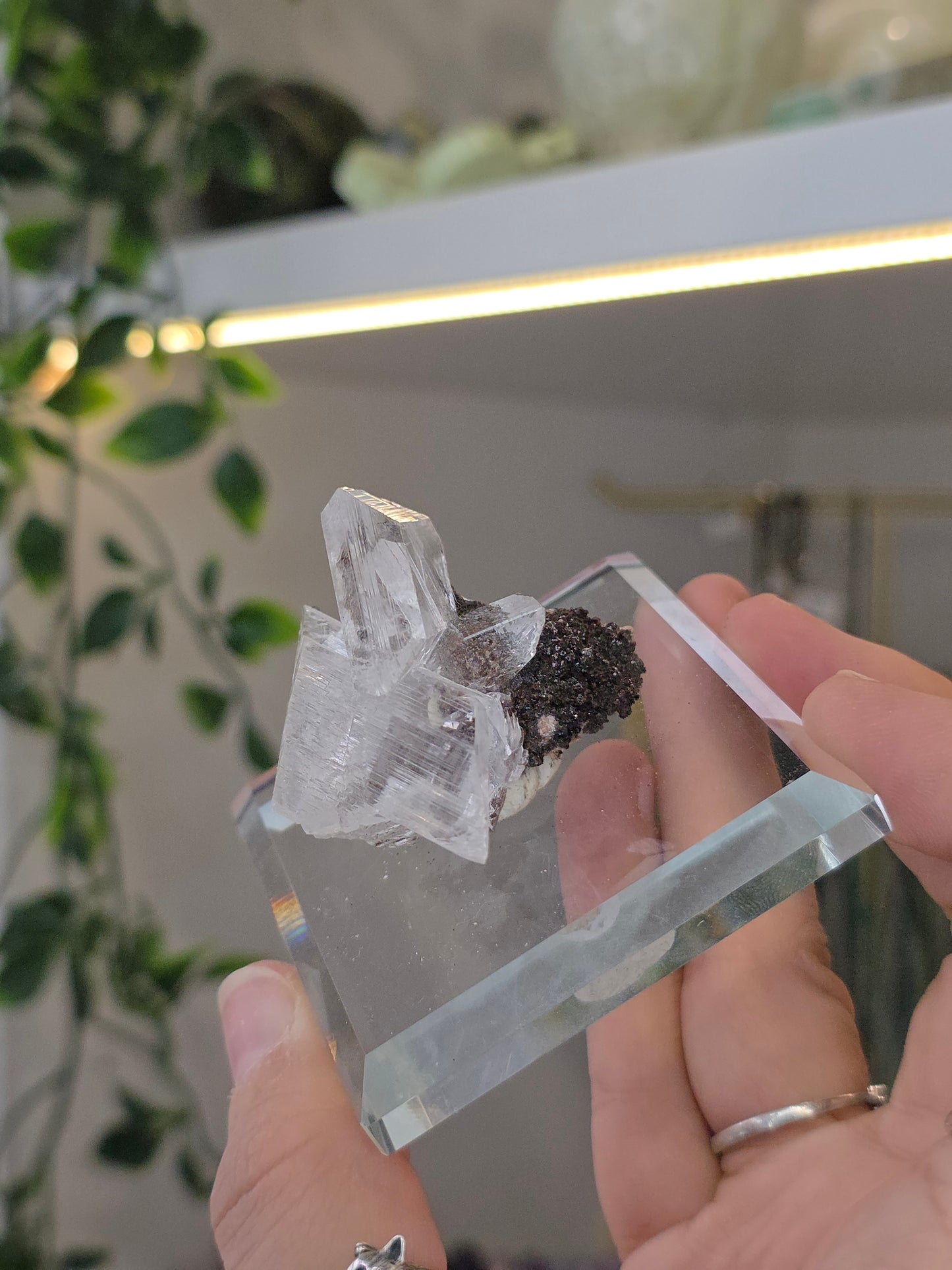 Naica Selenite Specimen from the world famous Naica Mine, Chihuahua, Mexico H