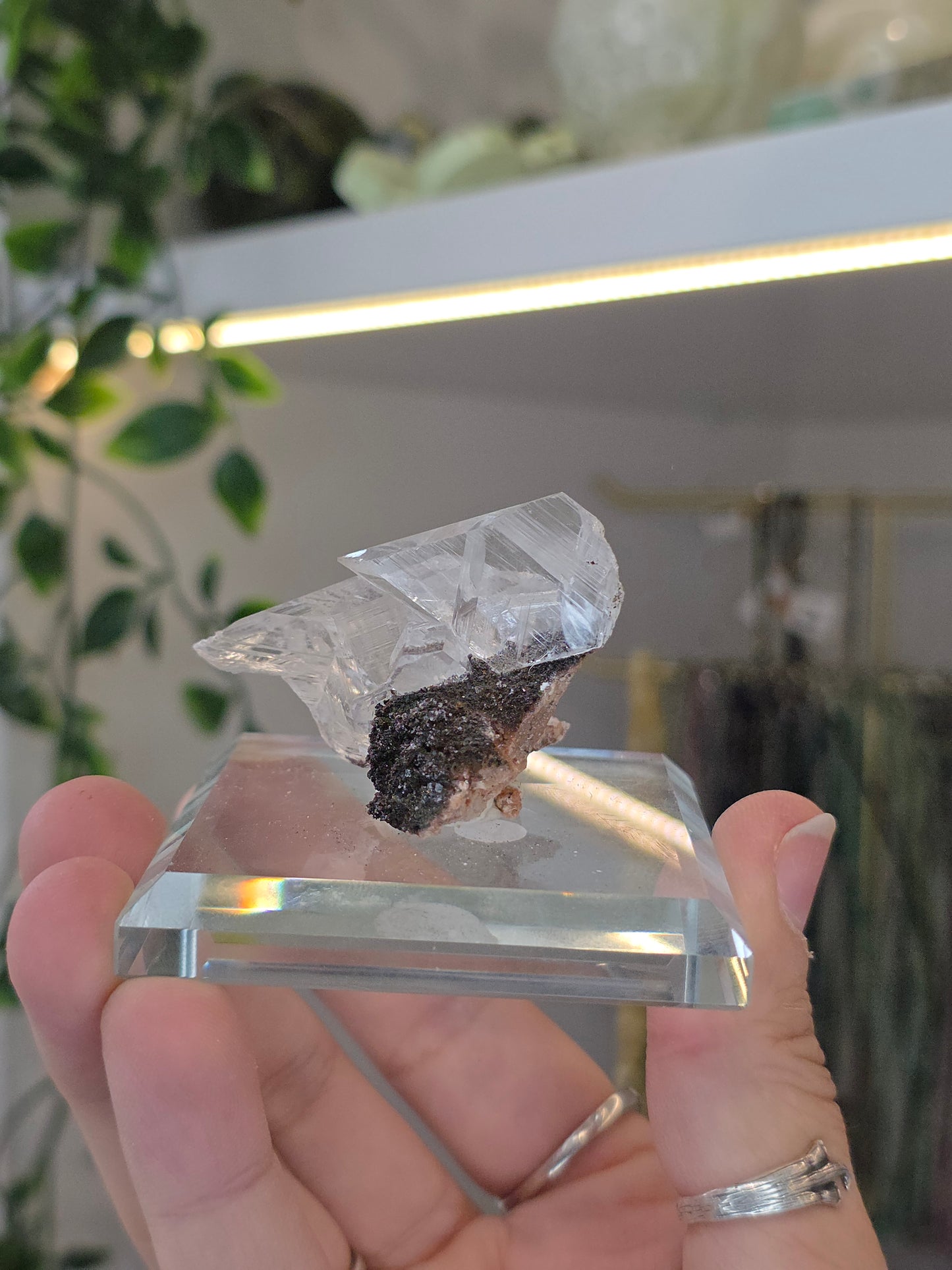 Naica Selenite Specimen from the world famous Naica Mine, Chihuahua, Mexico H