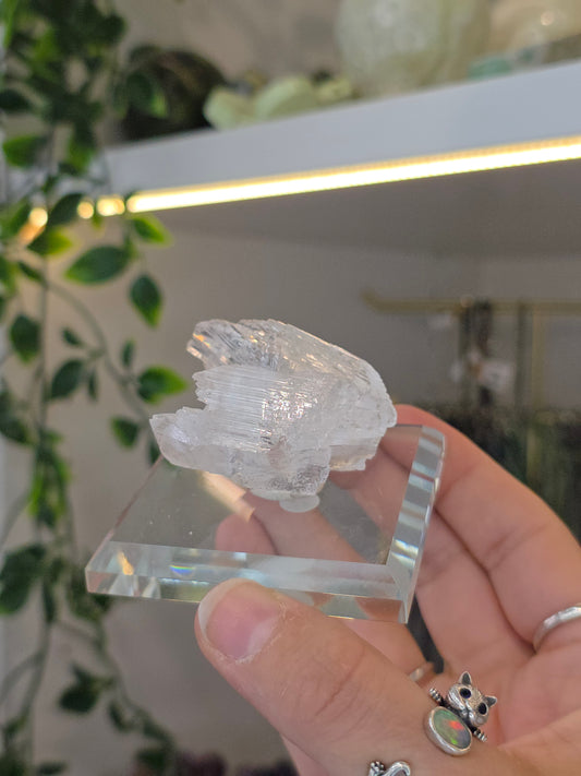 Naica Selenite Specimen from the world famous Naica Mine, Chihuahua, Mexico I