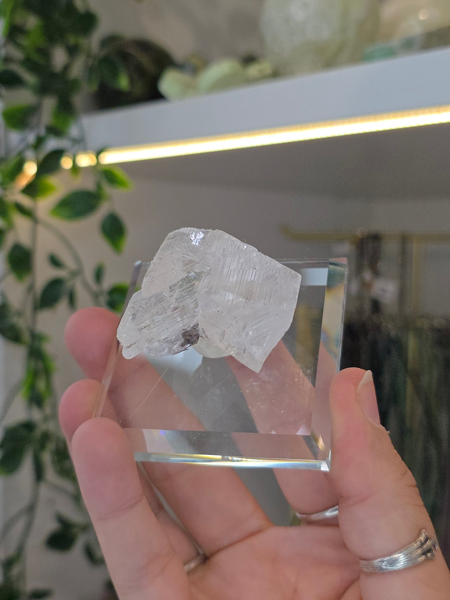 Naica Selenite Specimen from the world famous Naica Mine, Chihuahua, Mexico I