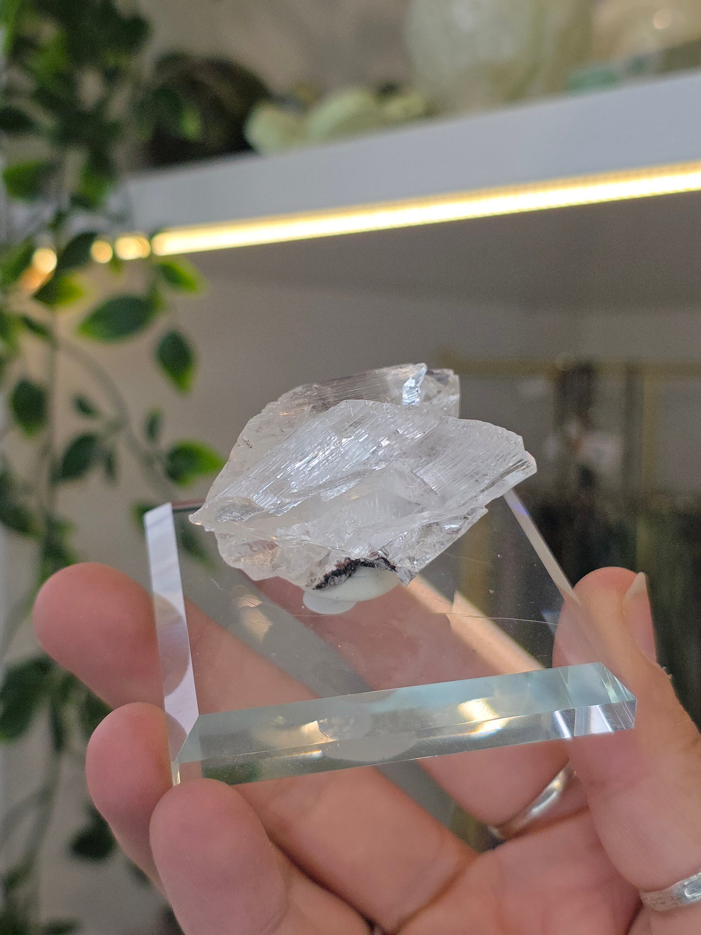 Naica Selenite Specimen from the world famous Naica Mine, Chihuahua, Mexico I