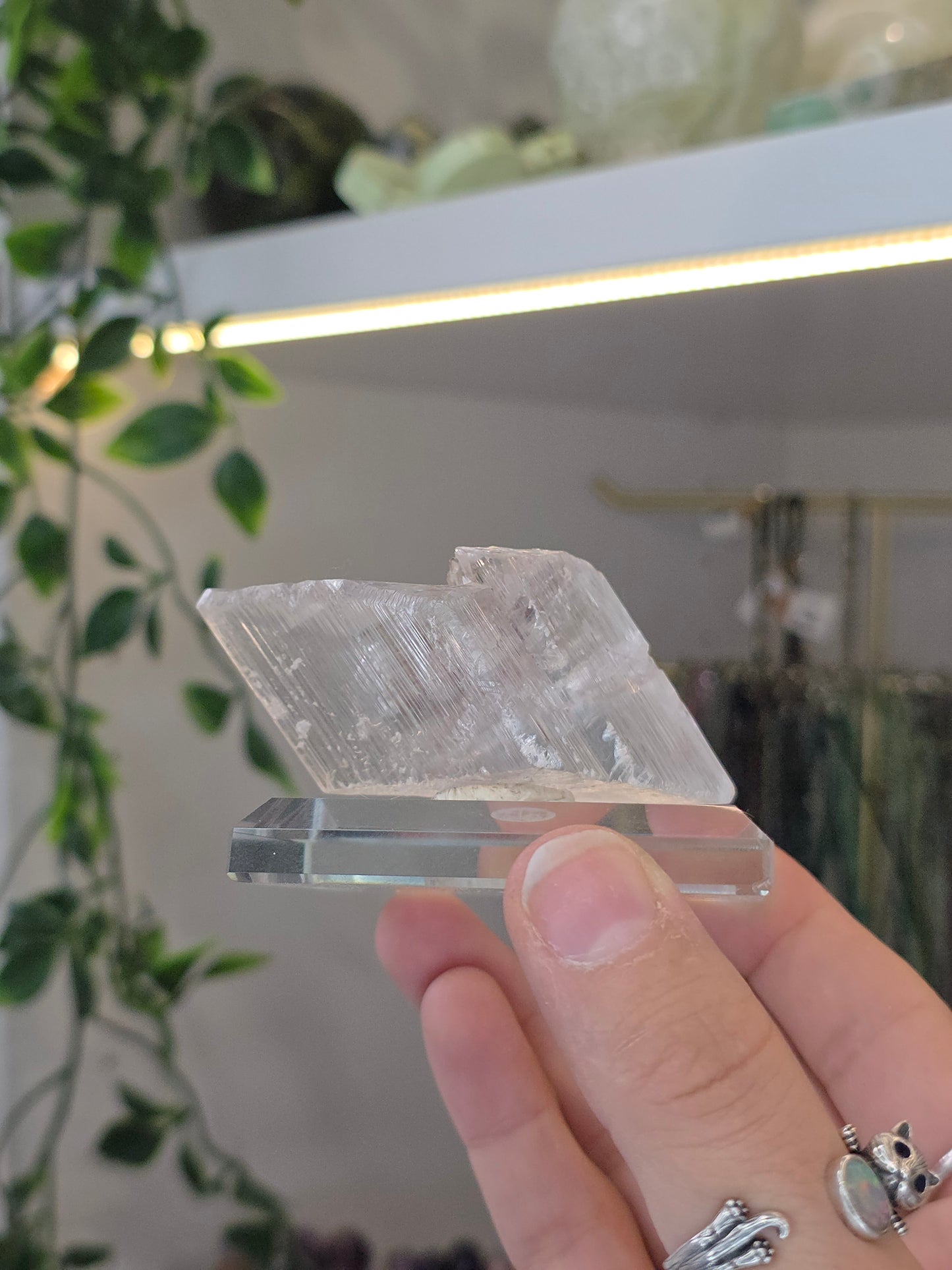 Naica Selenite Specimen from the world famous Naica Mine, Chihuahua, Mexico J