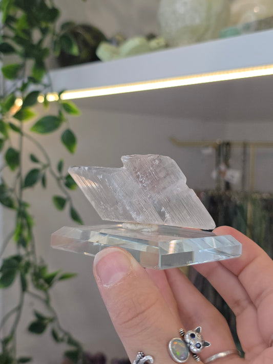 Naica Selenite Specimen from the world famous Naica Mine, Chihuahua, Mexico J