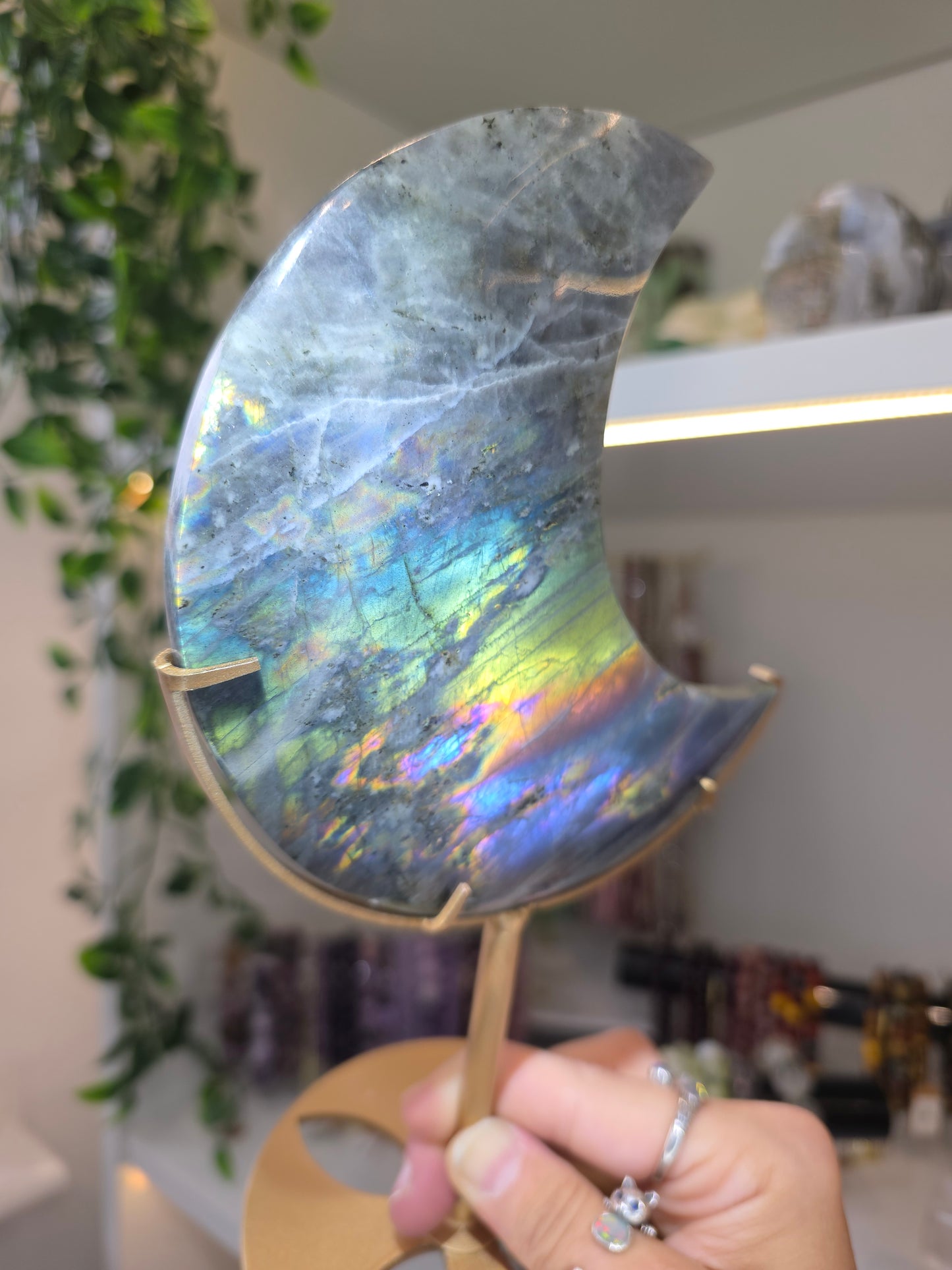Multicolour Flash Labradorite Moon on Custom Stand from Madagascar E