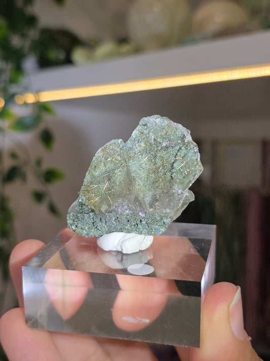 High Grade Chlorite Coated Himalayan Quartz with Golden Rutile Inclusion H