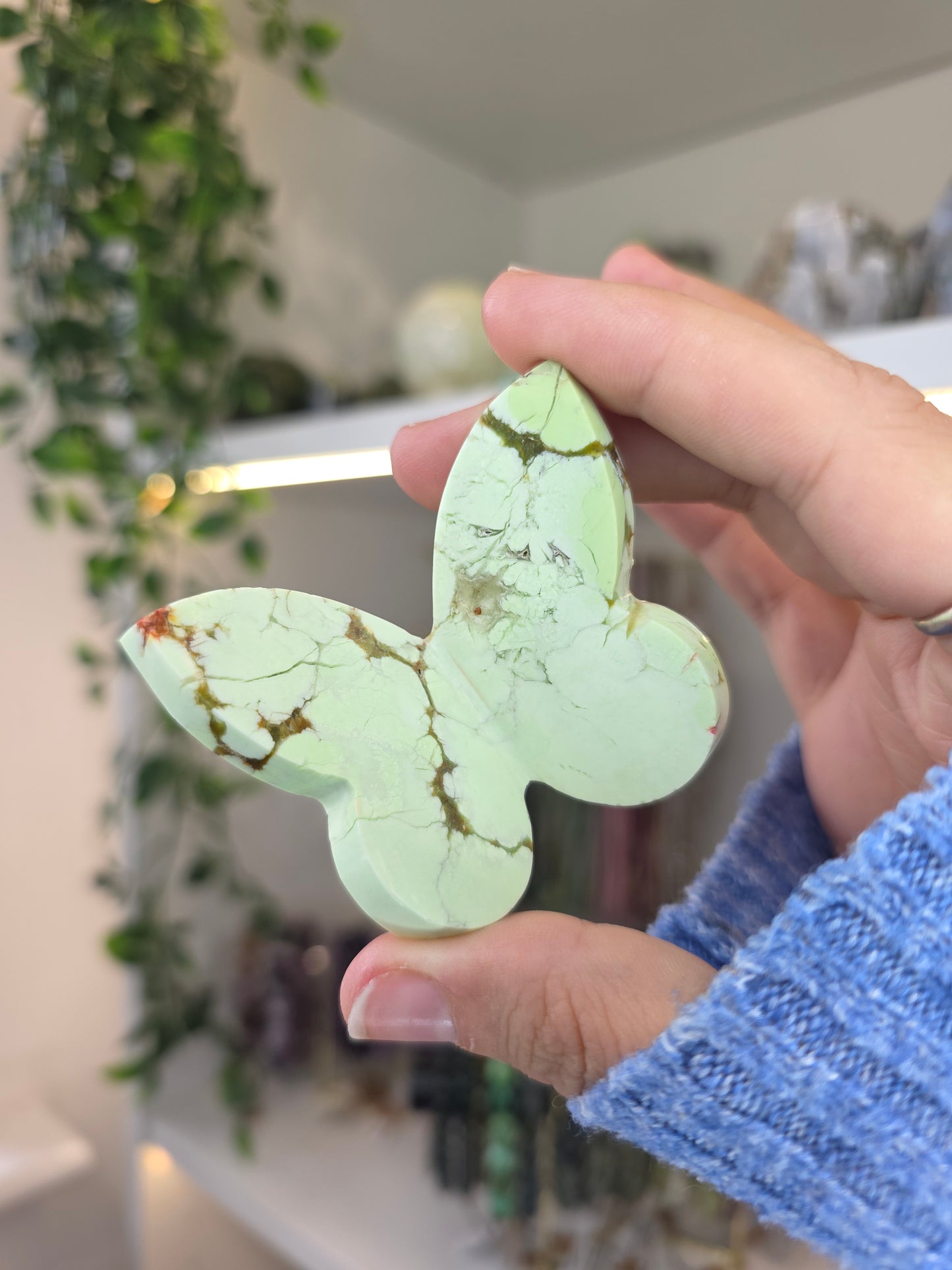 High Grade Australian Chrysoprase 3D Butterfly B