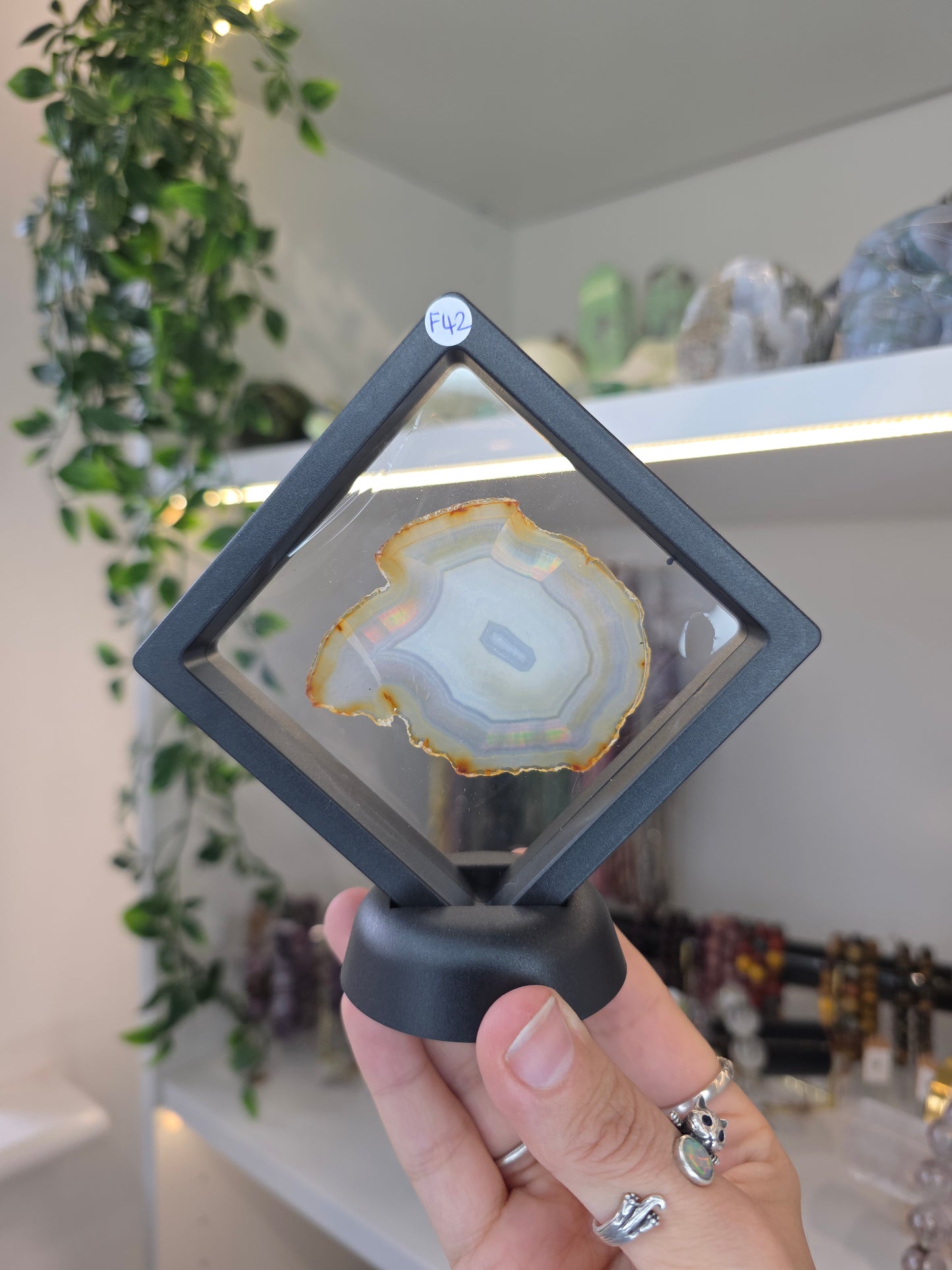 Iris Agate Raw Slice from Indonesia in Display Case - F