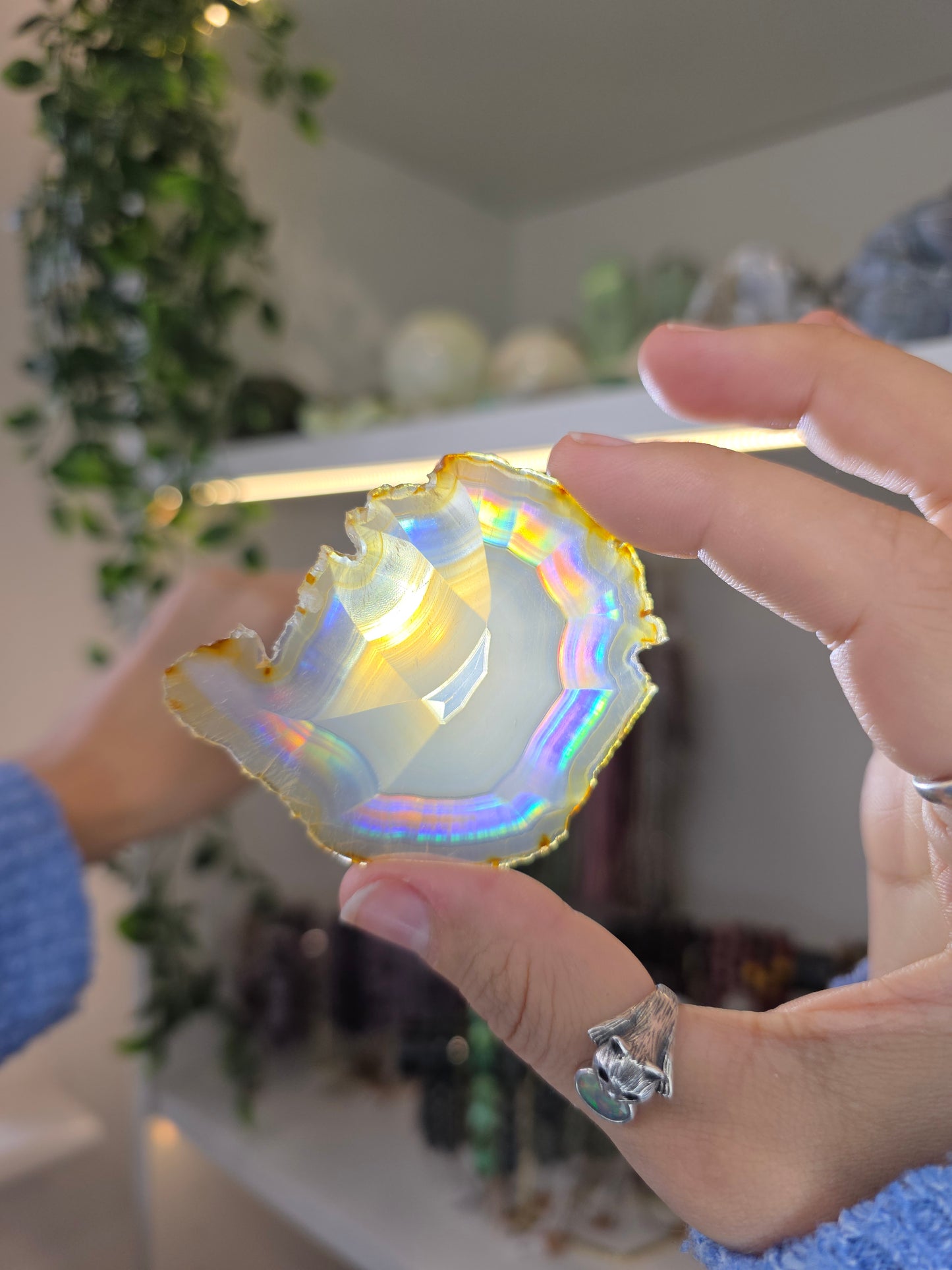 Iris Agate Raw Slice from Indonesia in Display Case - D