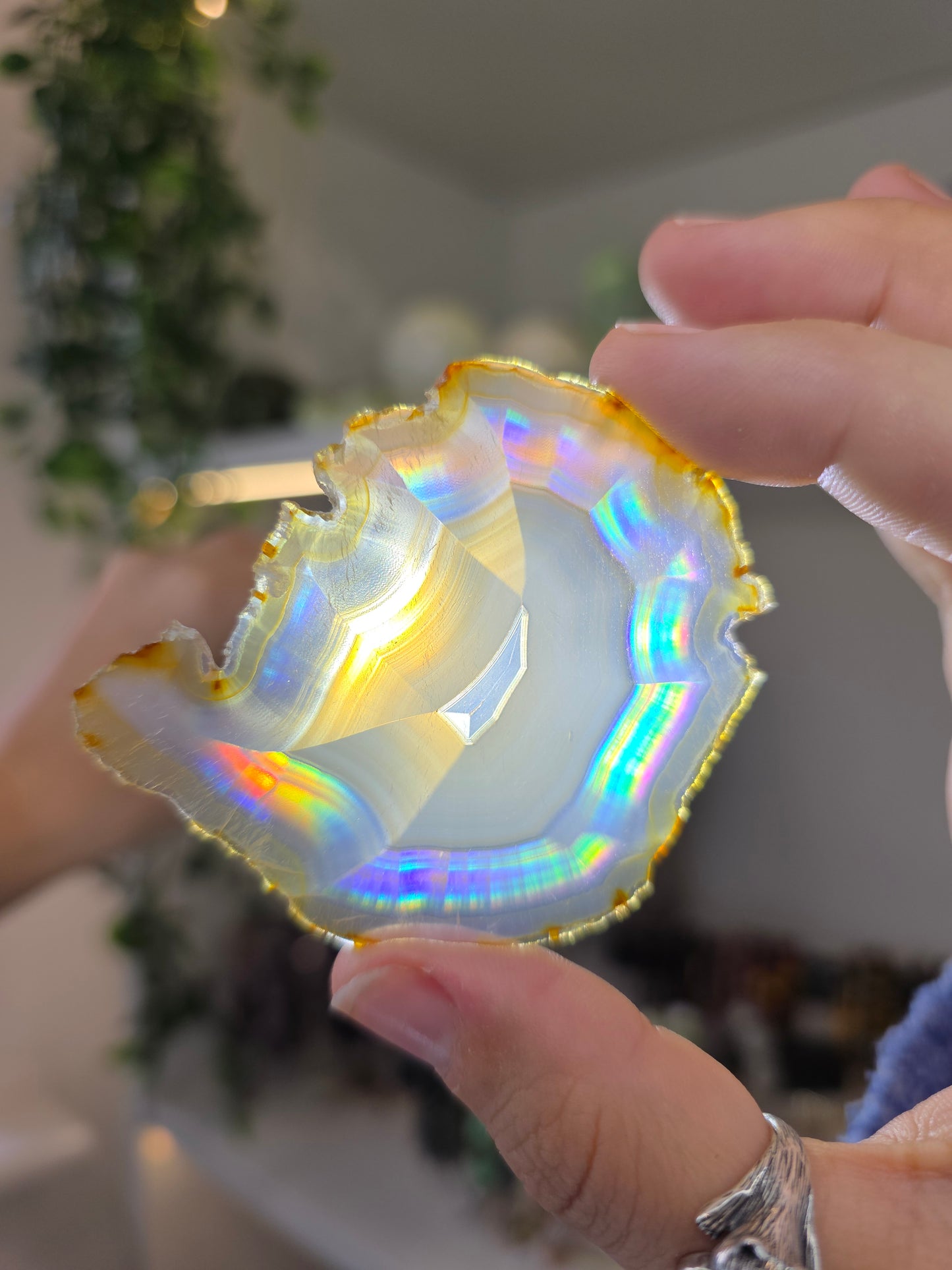 Iris Agate Raw Slice from Indonesia in Display Case - D