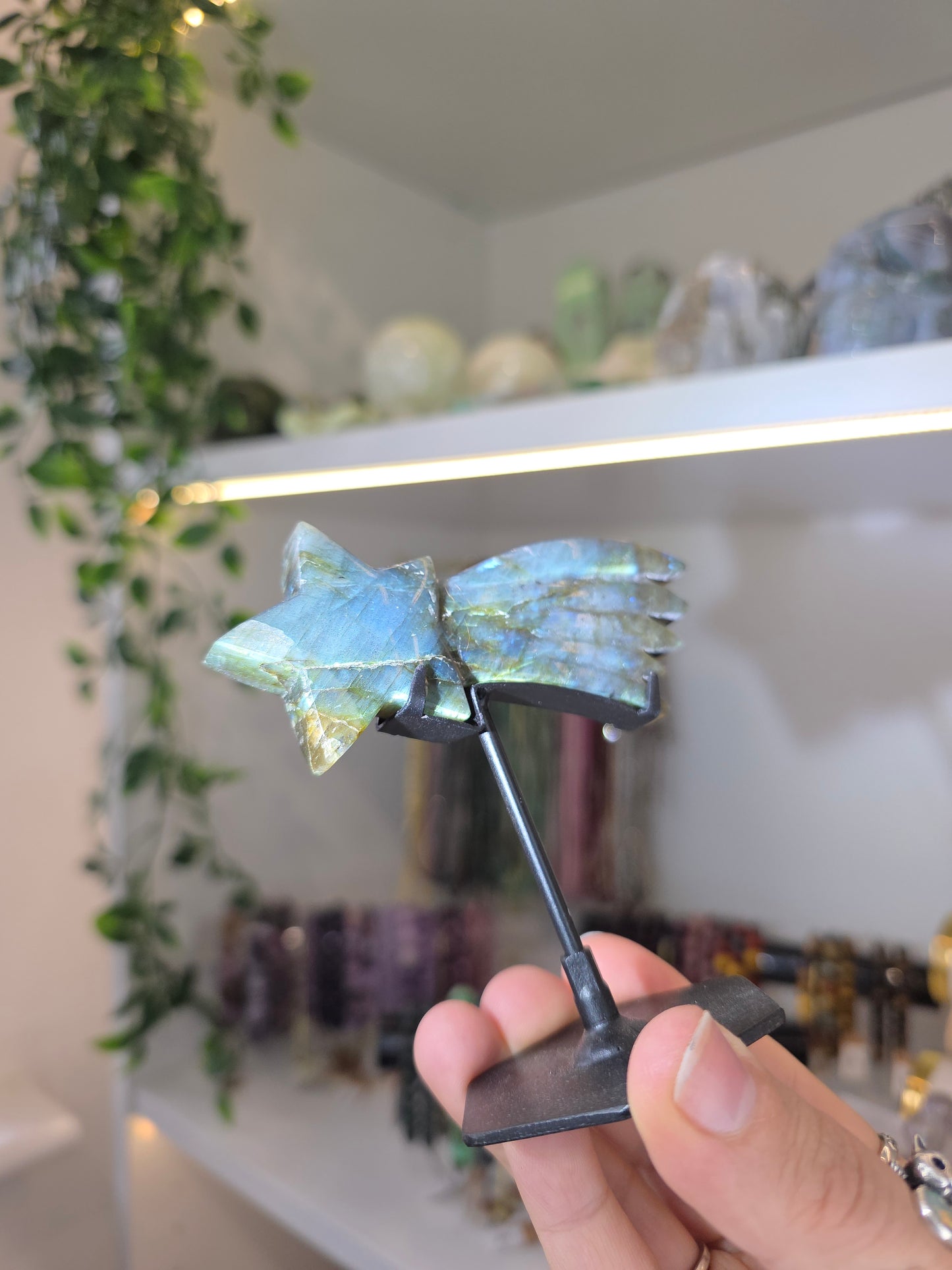 Various Madagascan Labradorite Shooting Stars on Custom Stands
