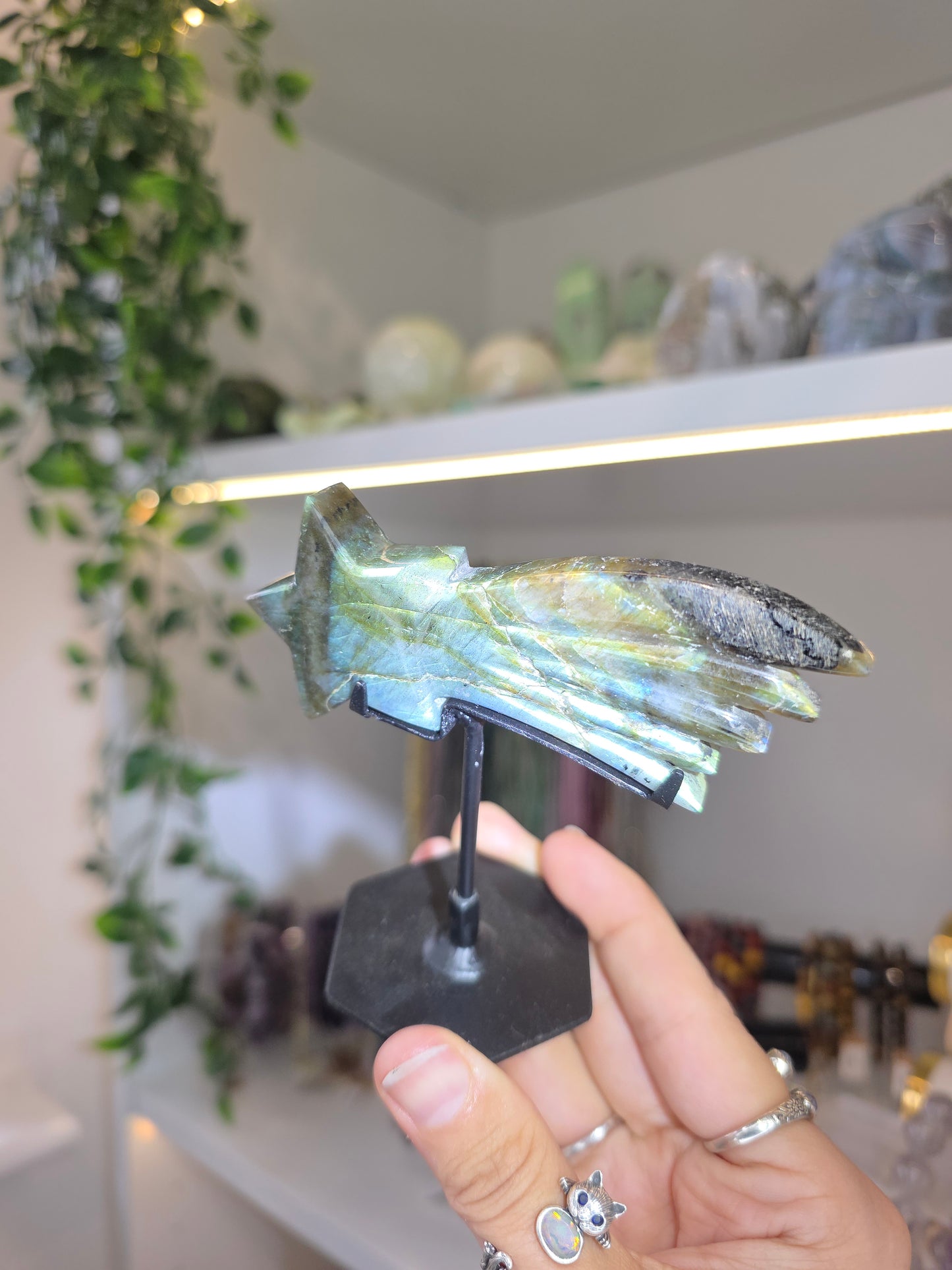 Various Madagascan Labradorite Shooting Stars on Custom Stands