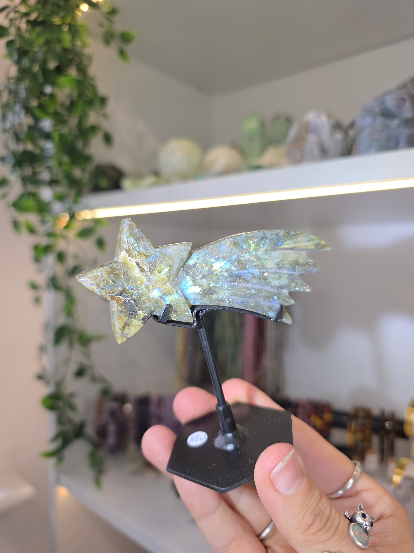 Various Madagascan Labradorite Shooting Stars on Custom Stands