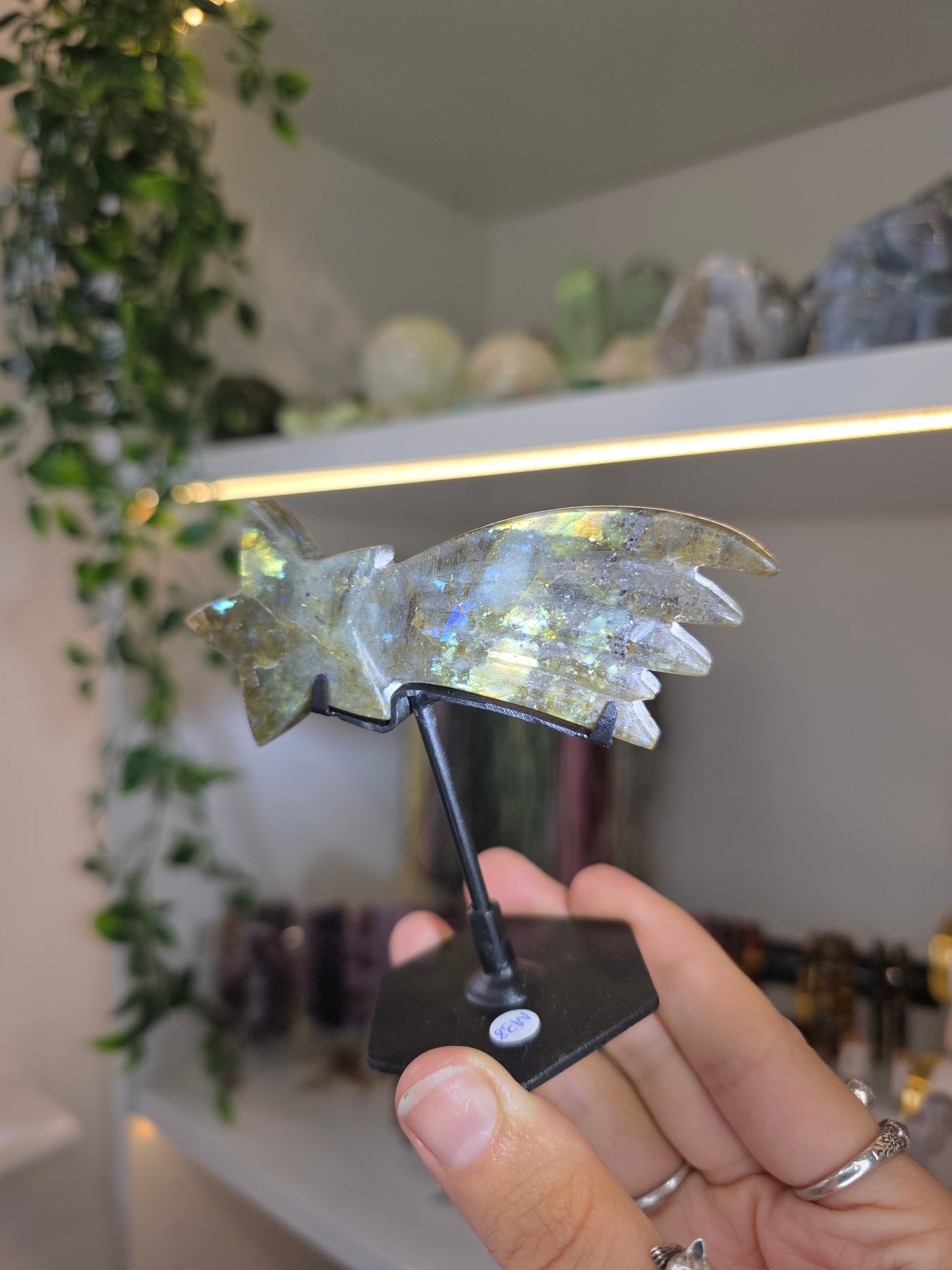 Various Madagascan Labradorite Shooting Stars on Custom Stands