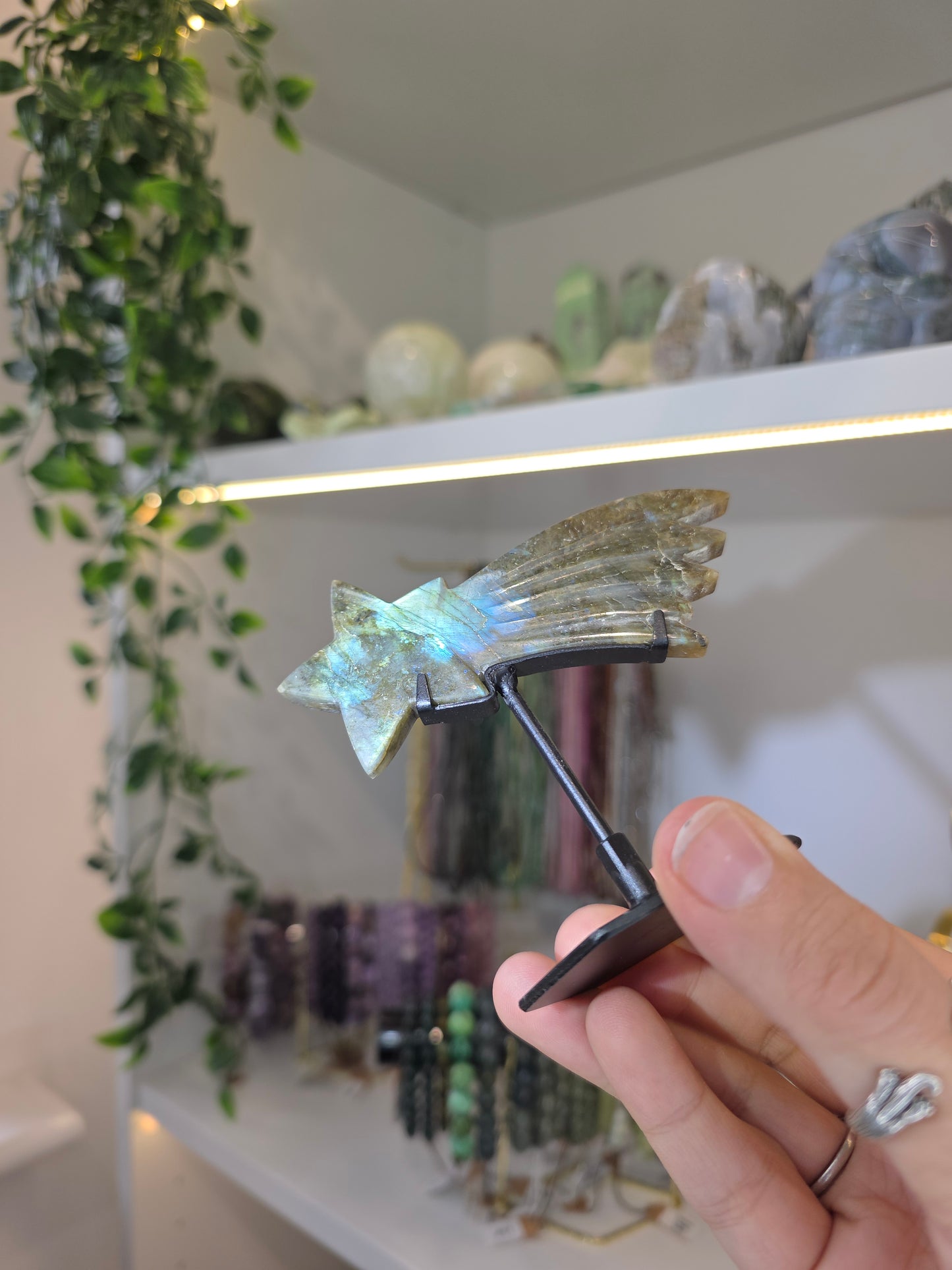 Various Madagascan Labradorite Shooting Stars on Custom Stands